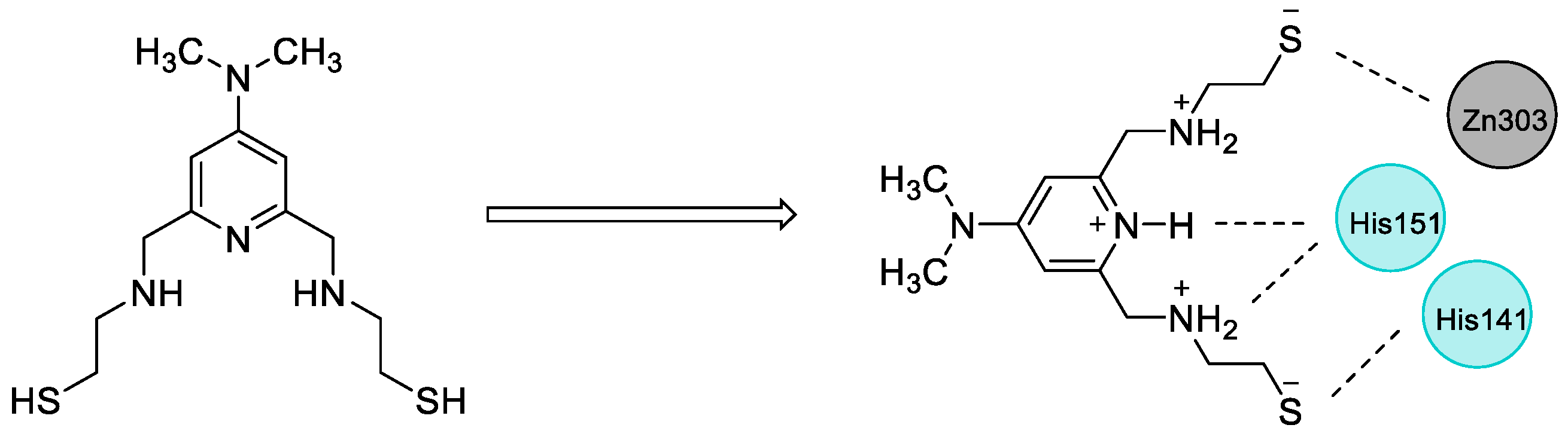 Pharmaceuticals 16 01608 g005