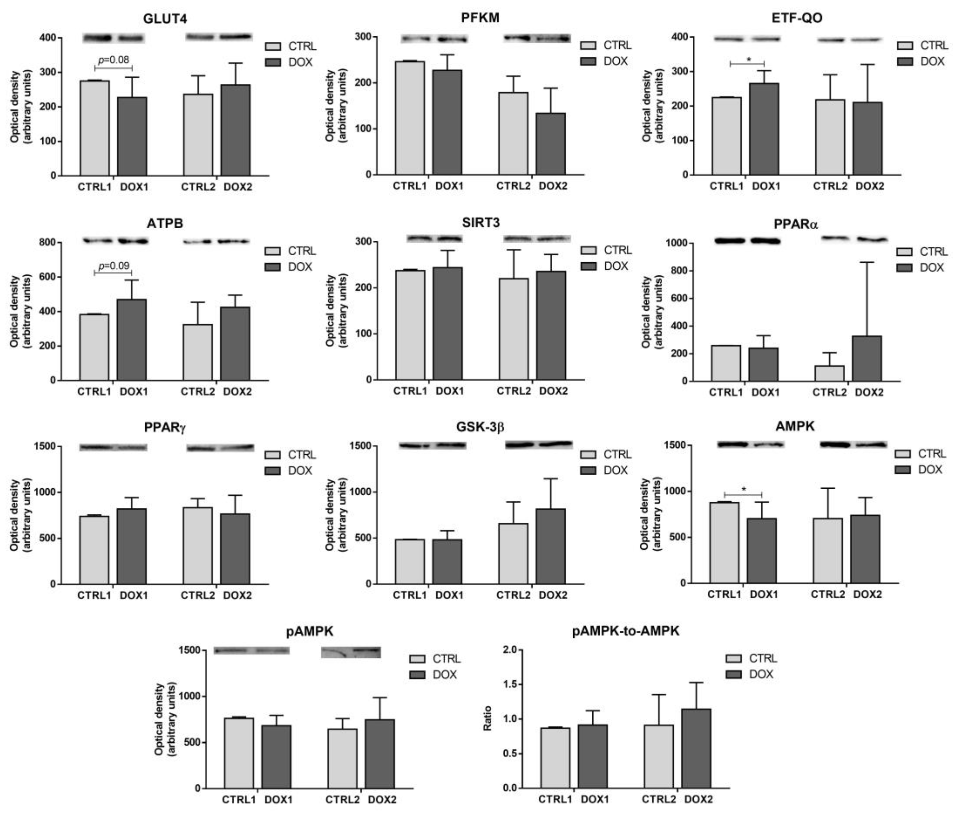Pharmaceuticals 16 01613 g003