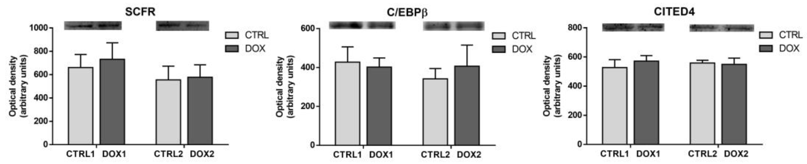 Pharmaceuticals 16 01613 g007