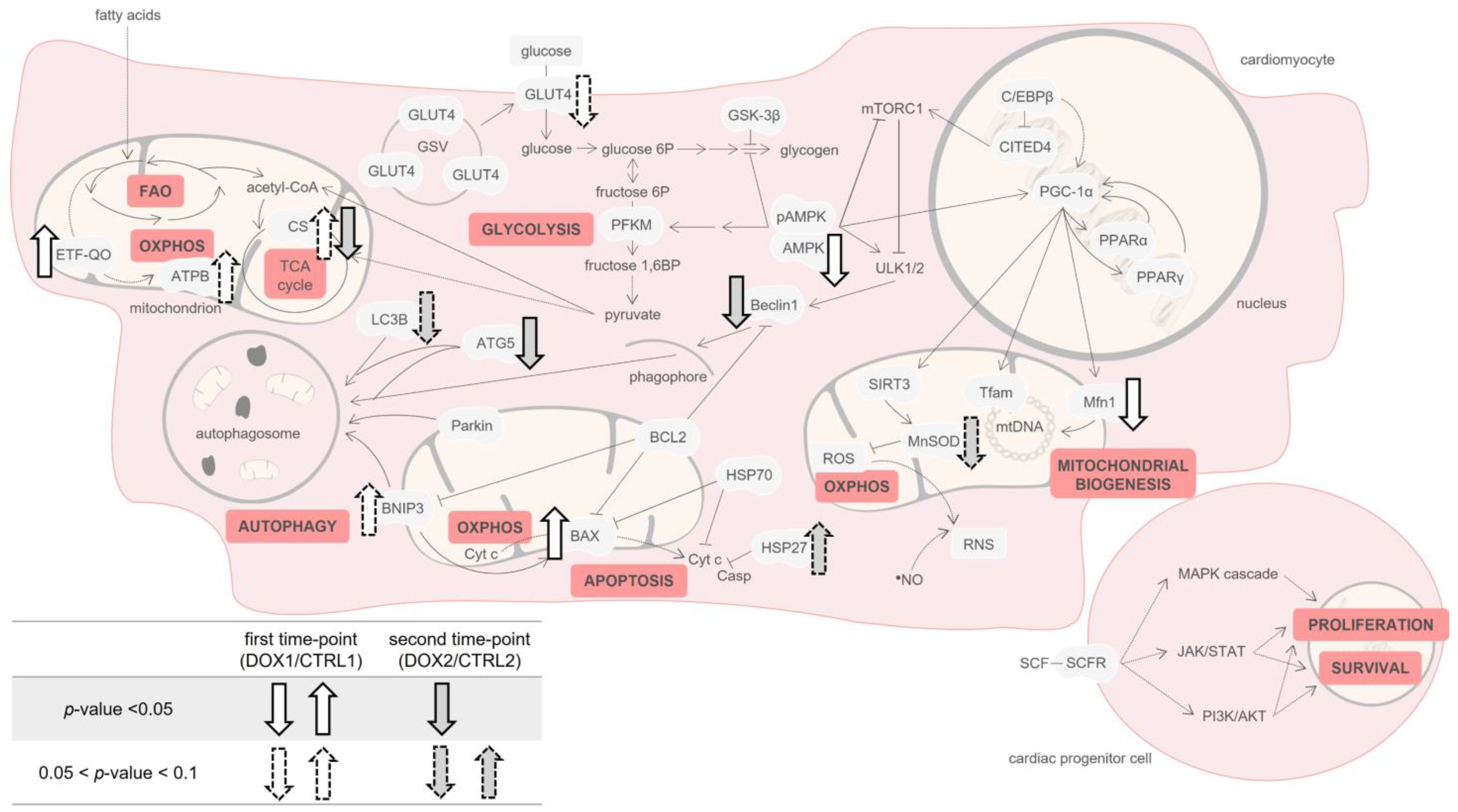 Pharmaceuticals 16 01613 g008