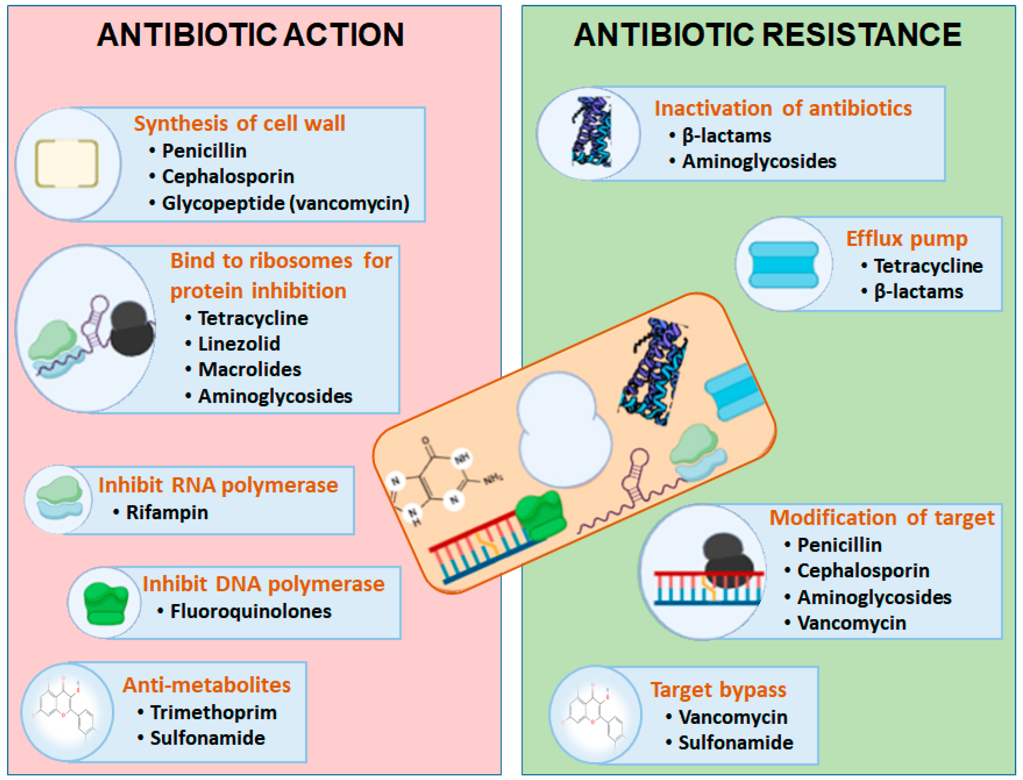 Pharmaceuticals 16 01615 g002 Pharmaceuticals 16 01615 g002