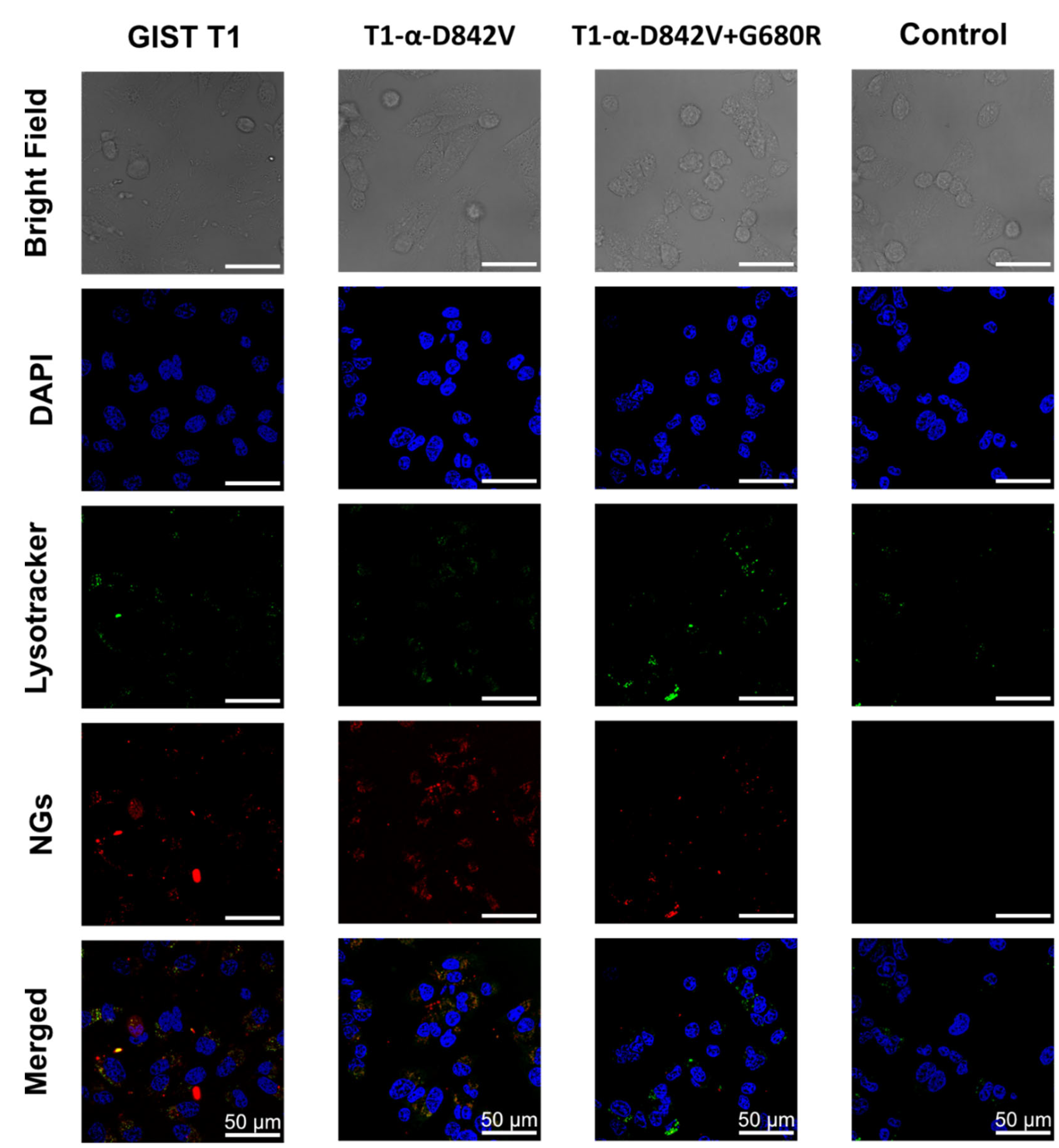 Pharmaceuticals 16 01618 g004 Pharmaceuticals 16 01618 g004