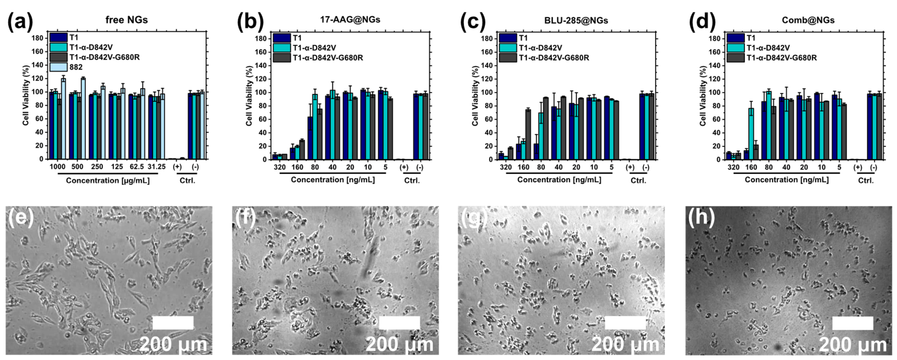 Pharmaceuticals 16 01618 g005 Pharmaceuticals 16 01618 g005