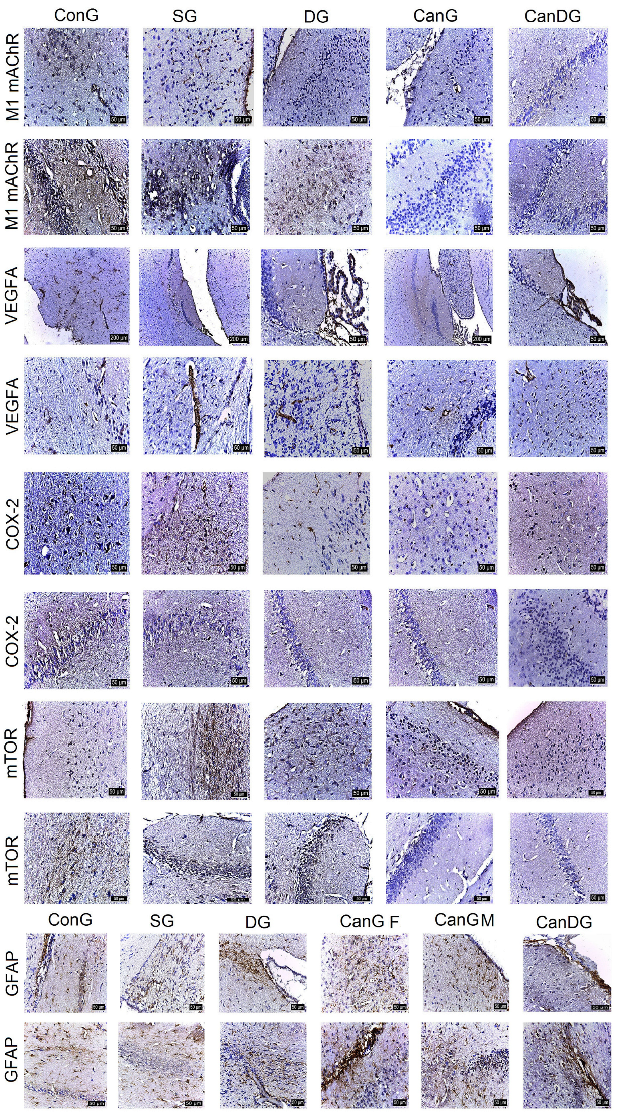 Pharmaceuticals 16 01620 g002 Pharmaceuticals 16 01620 g002