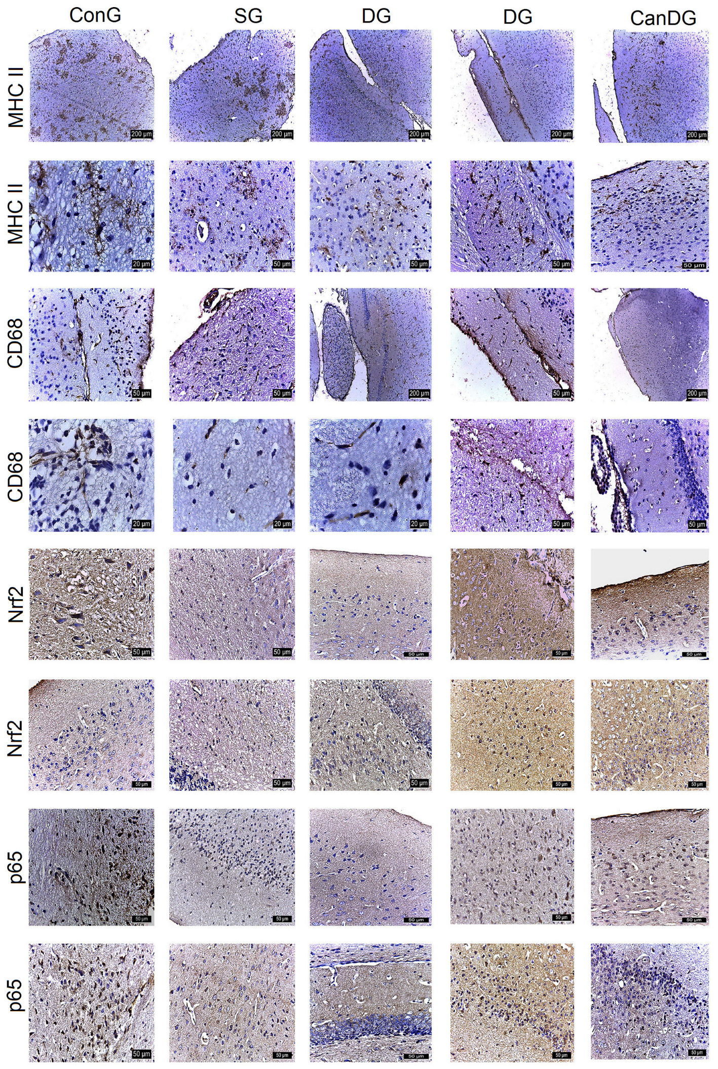 Pharmaceuticals 16 01620 g003 Pharmaceuticals 16 01620 g003