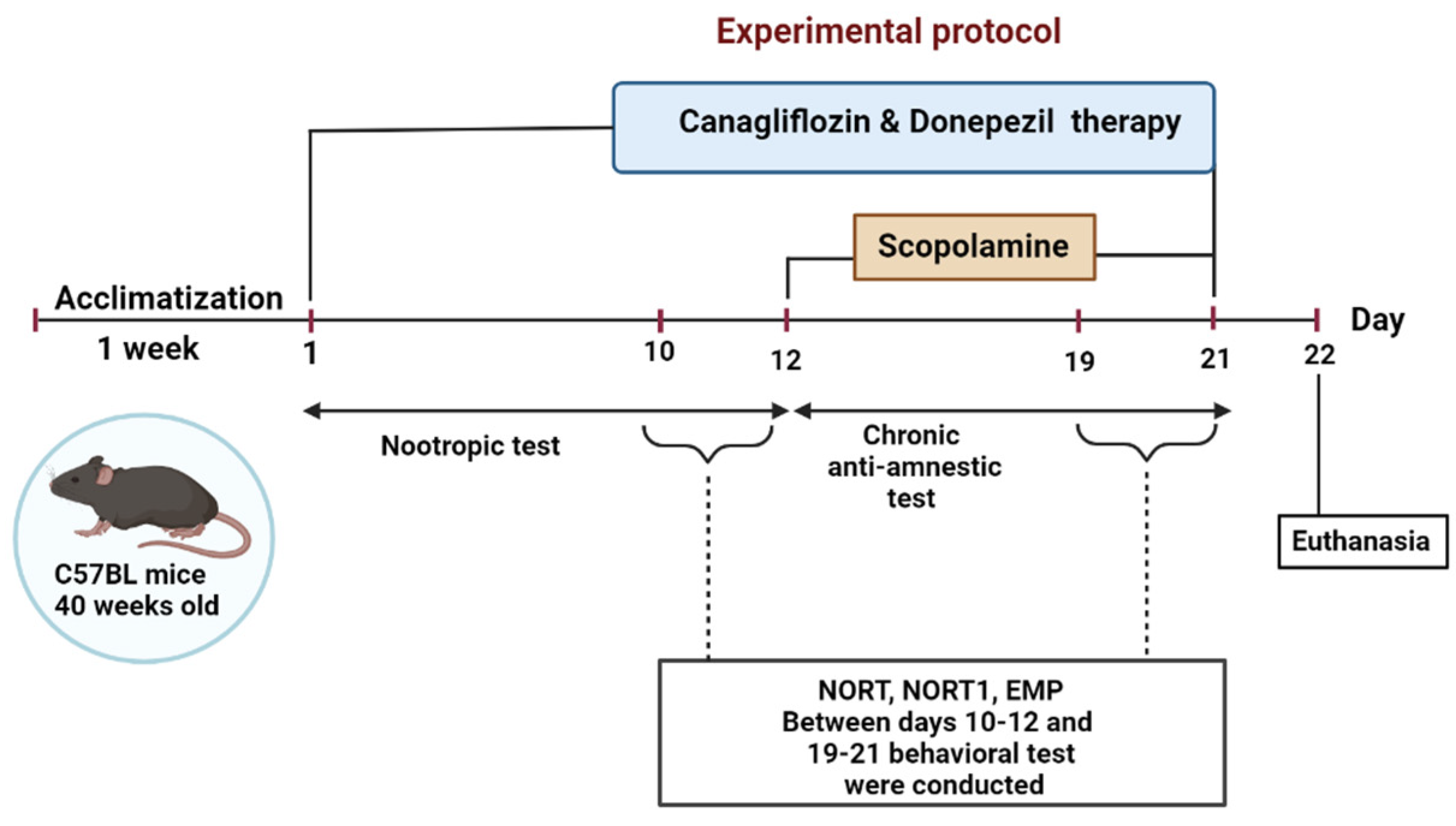 Pharmaceuticals 16 01620 g004 Pharmaceuticals 16 01620 g004