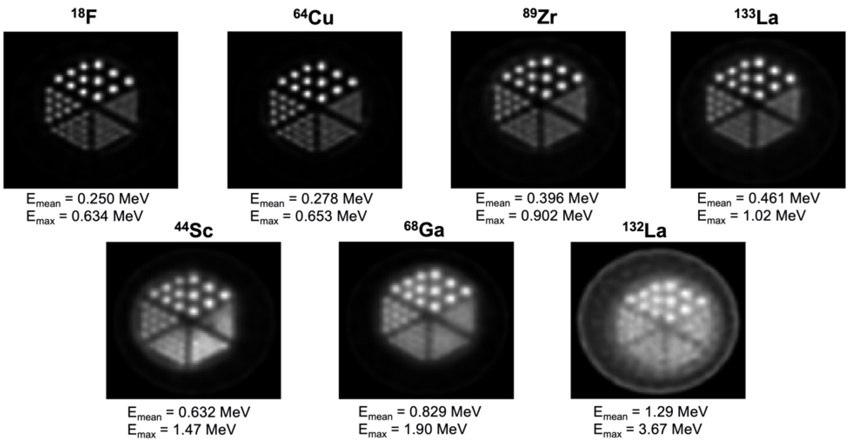 Pharmaceuticals 16 01622 g001