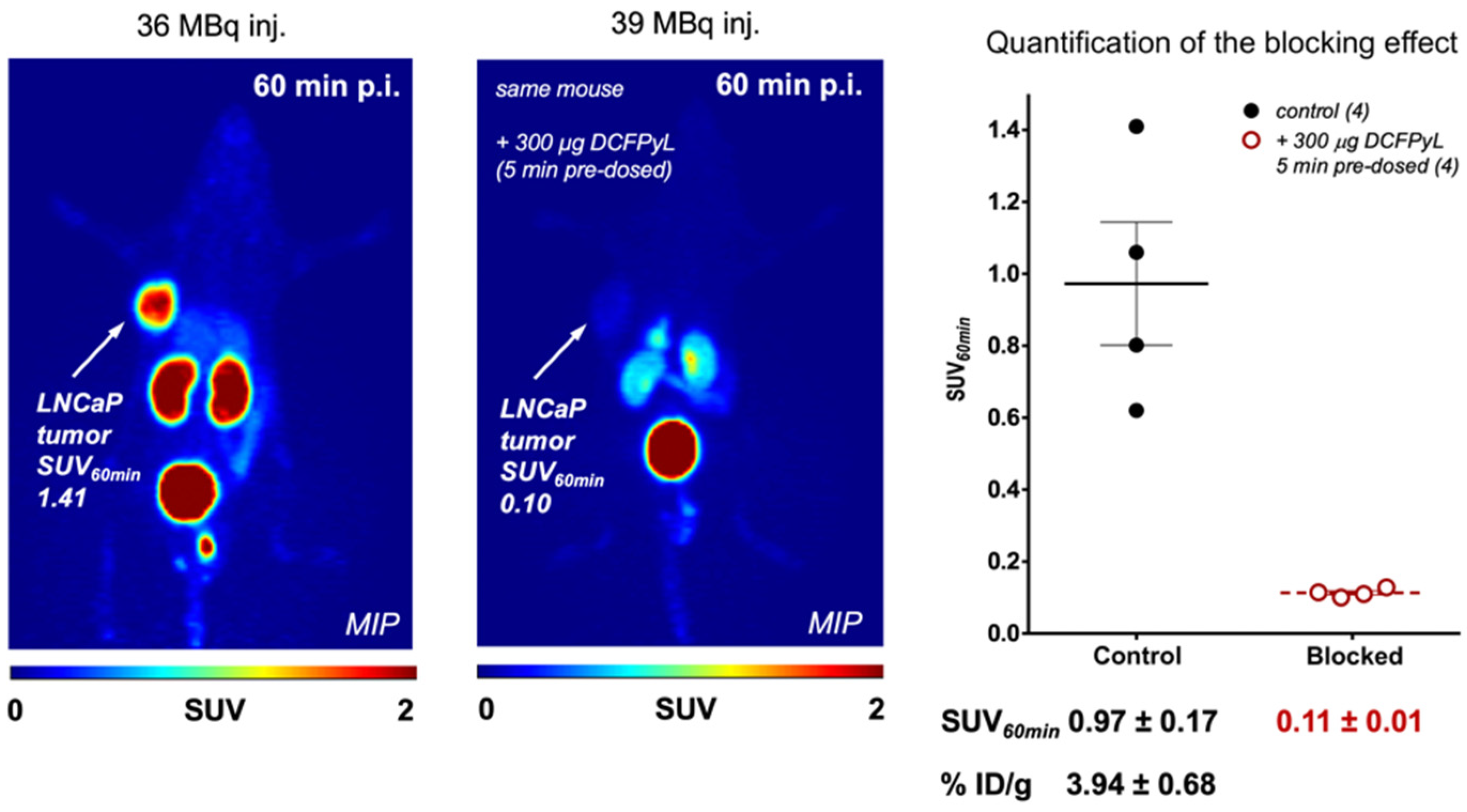 Pharmaceuticals 16 01622 g002