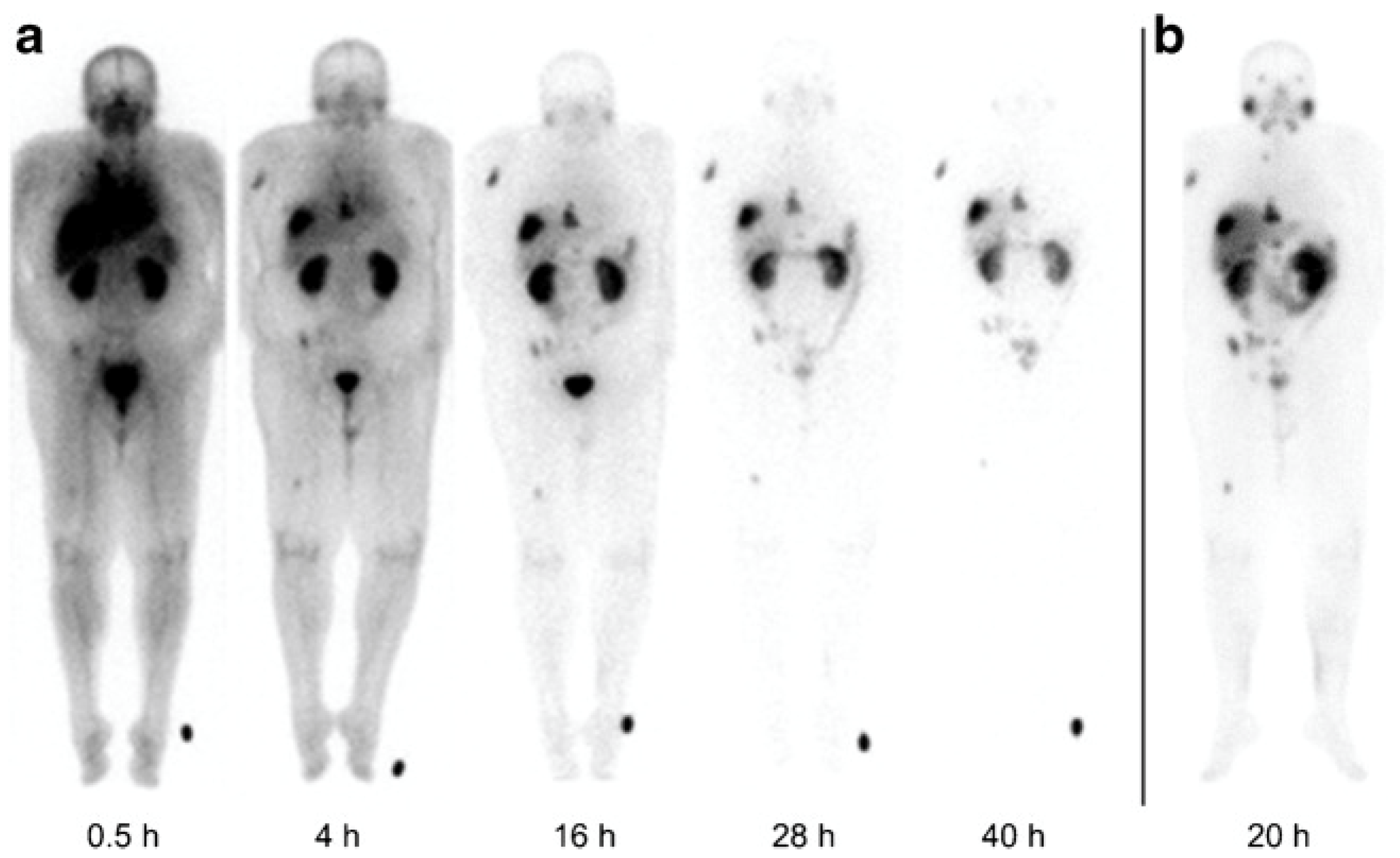 Pharmaceuticals 16 01622 g004