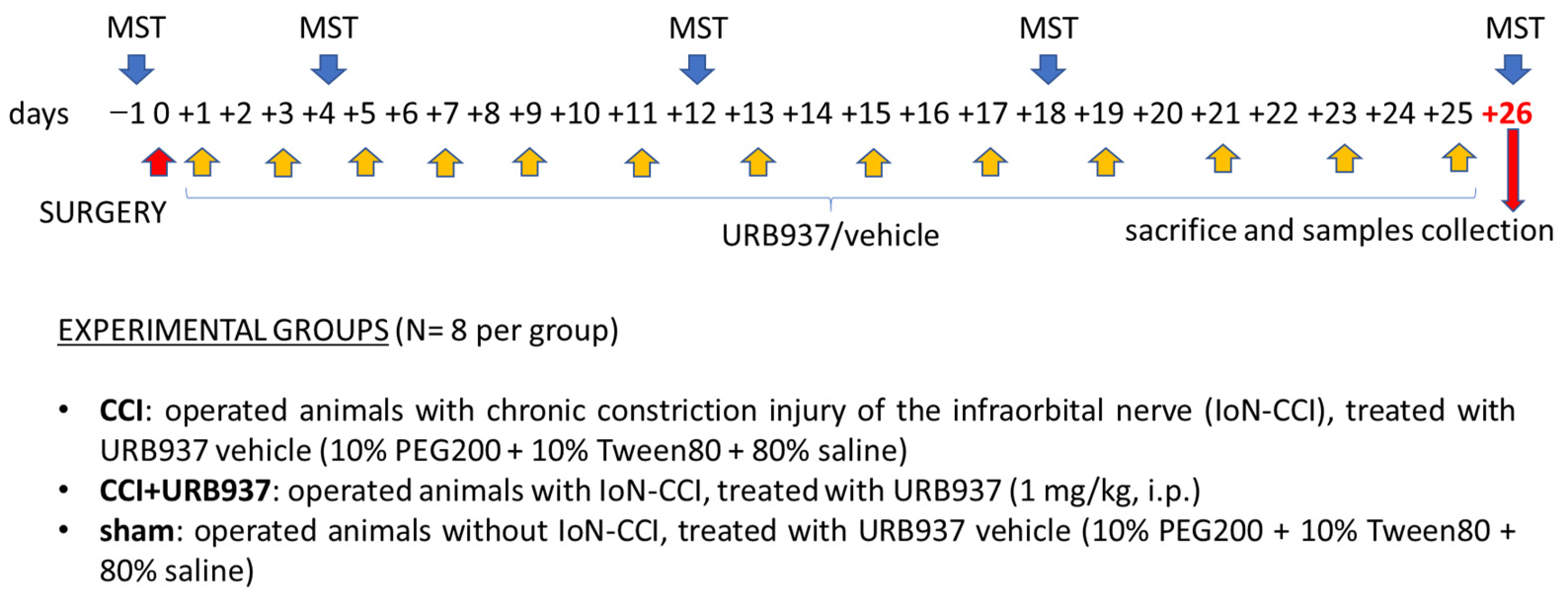 Pharmaceuticals 16 01626 g005