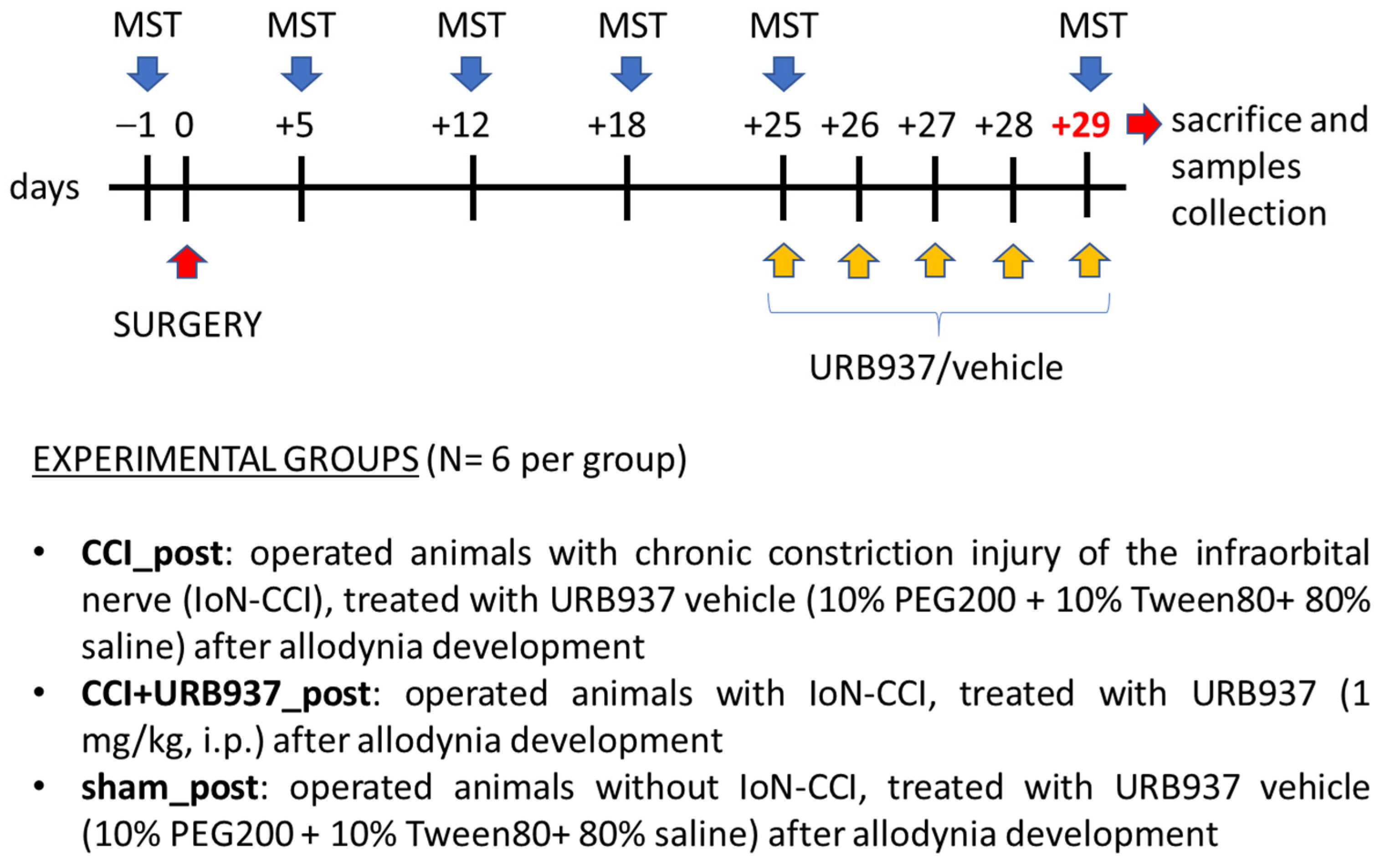 Pharmaceuticals 16 01626 g006