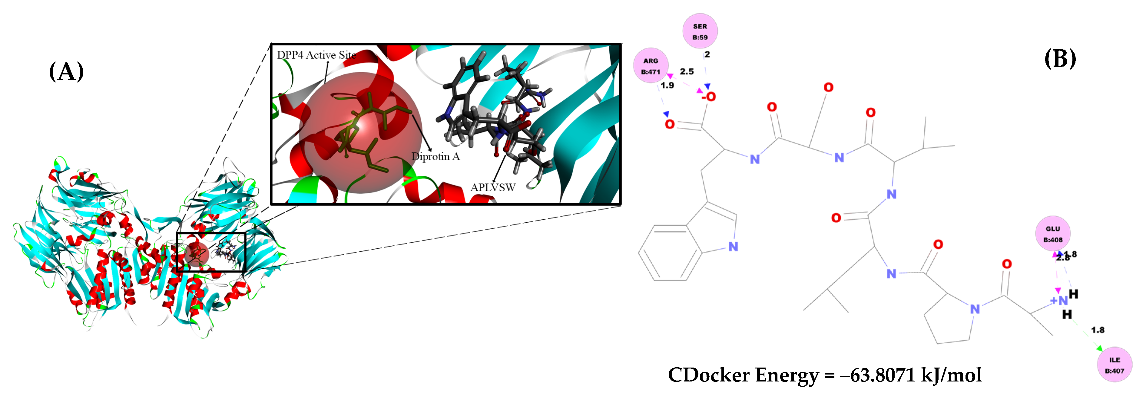 Pharmaceuticals 16 01629 g009