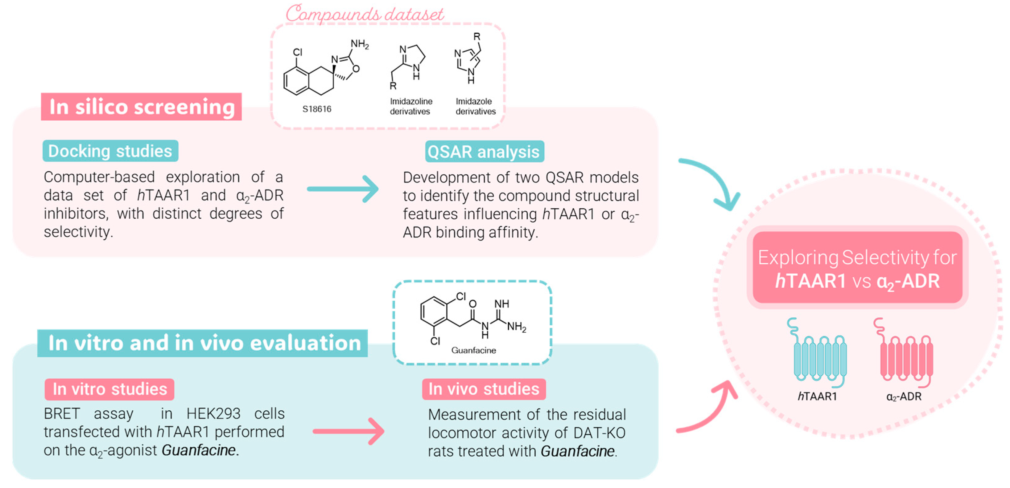 Pharmaceuticals 16 01632 g002