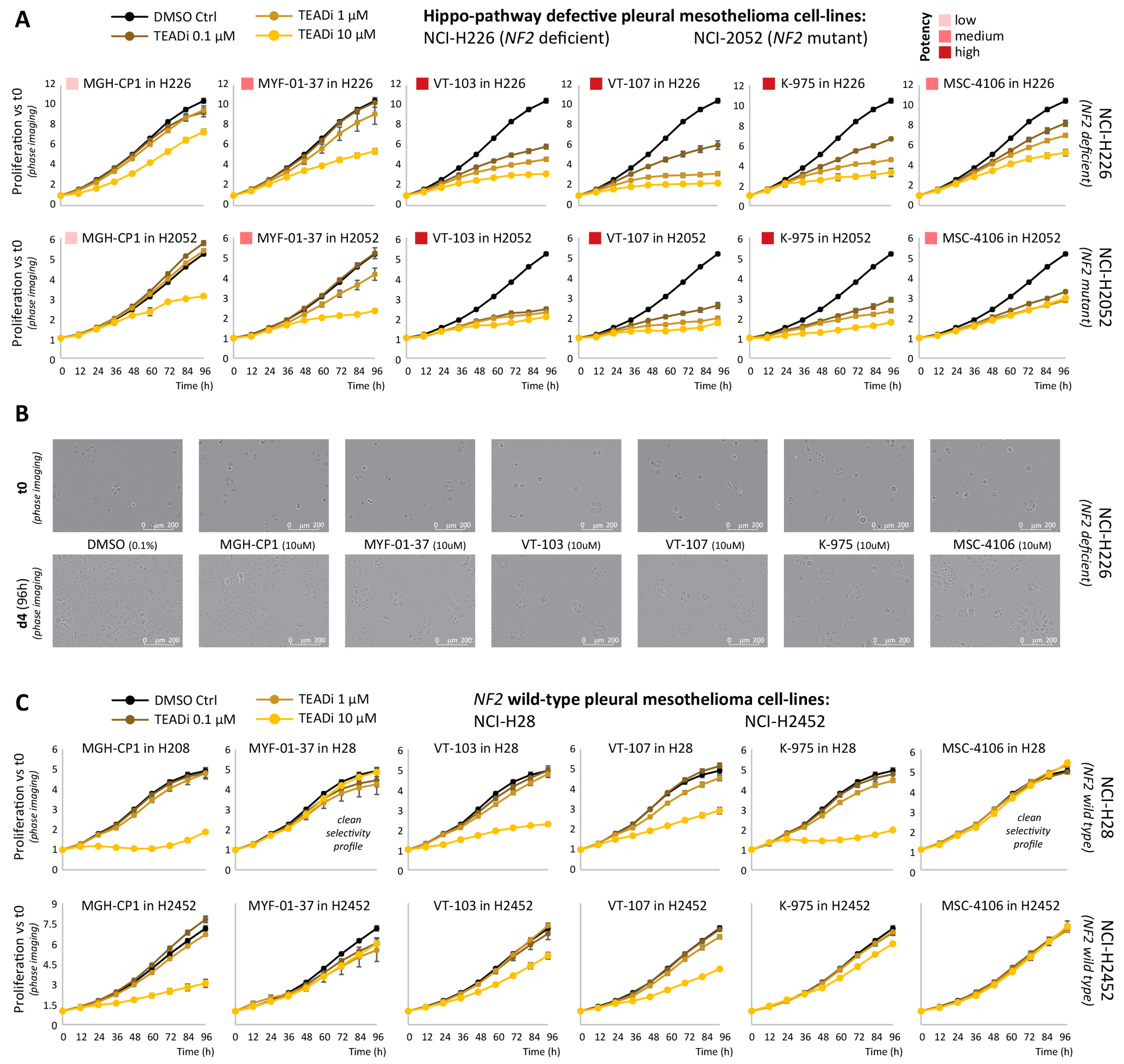 Pharmaceuticals 16 01635 g001