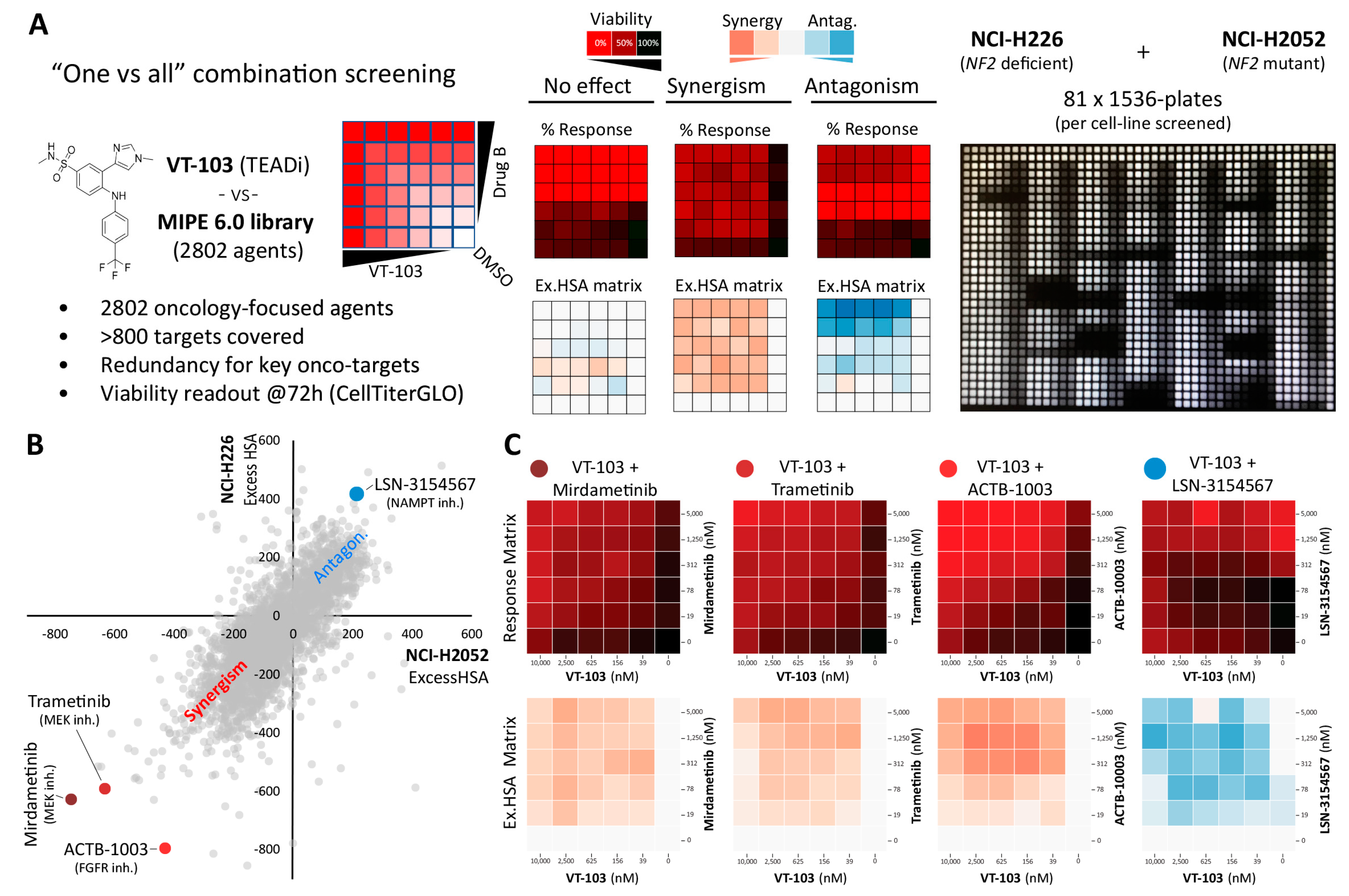Pharmaceuticals 16 01635 g004