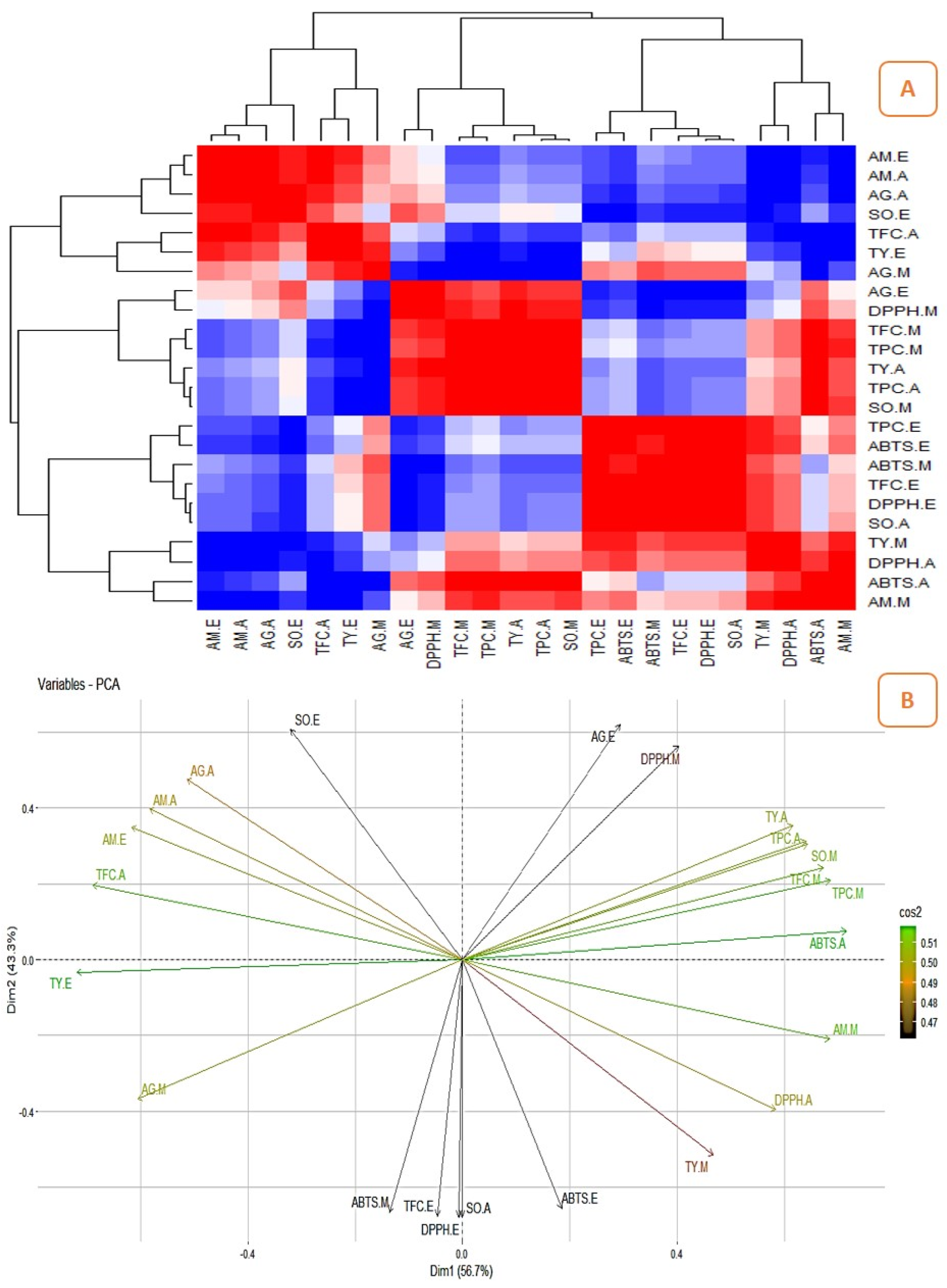 Pharmaceuticals 16 01636 g007