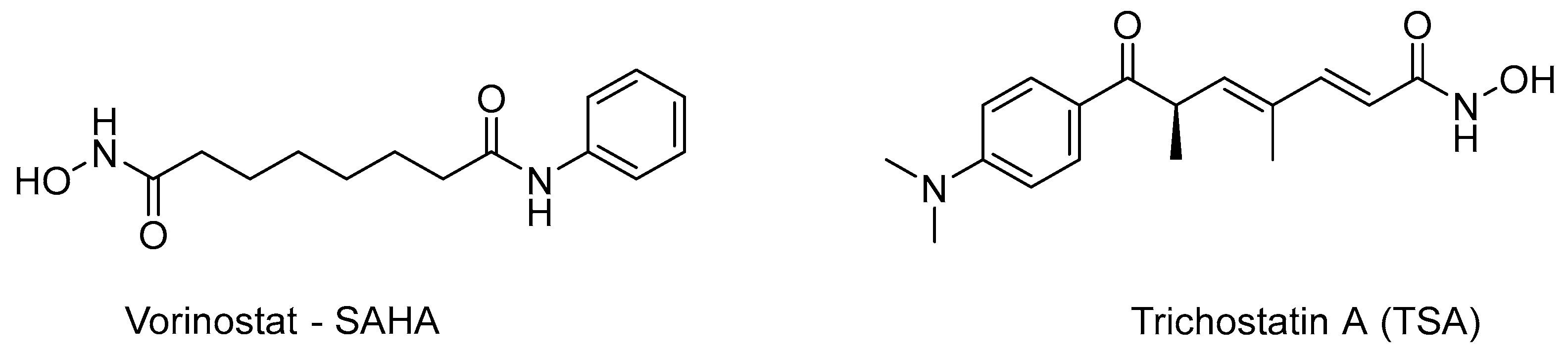 Pharmaceuticals 16 01639 g001