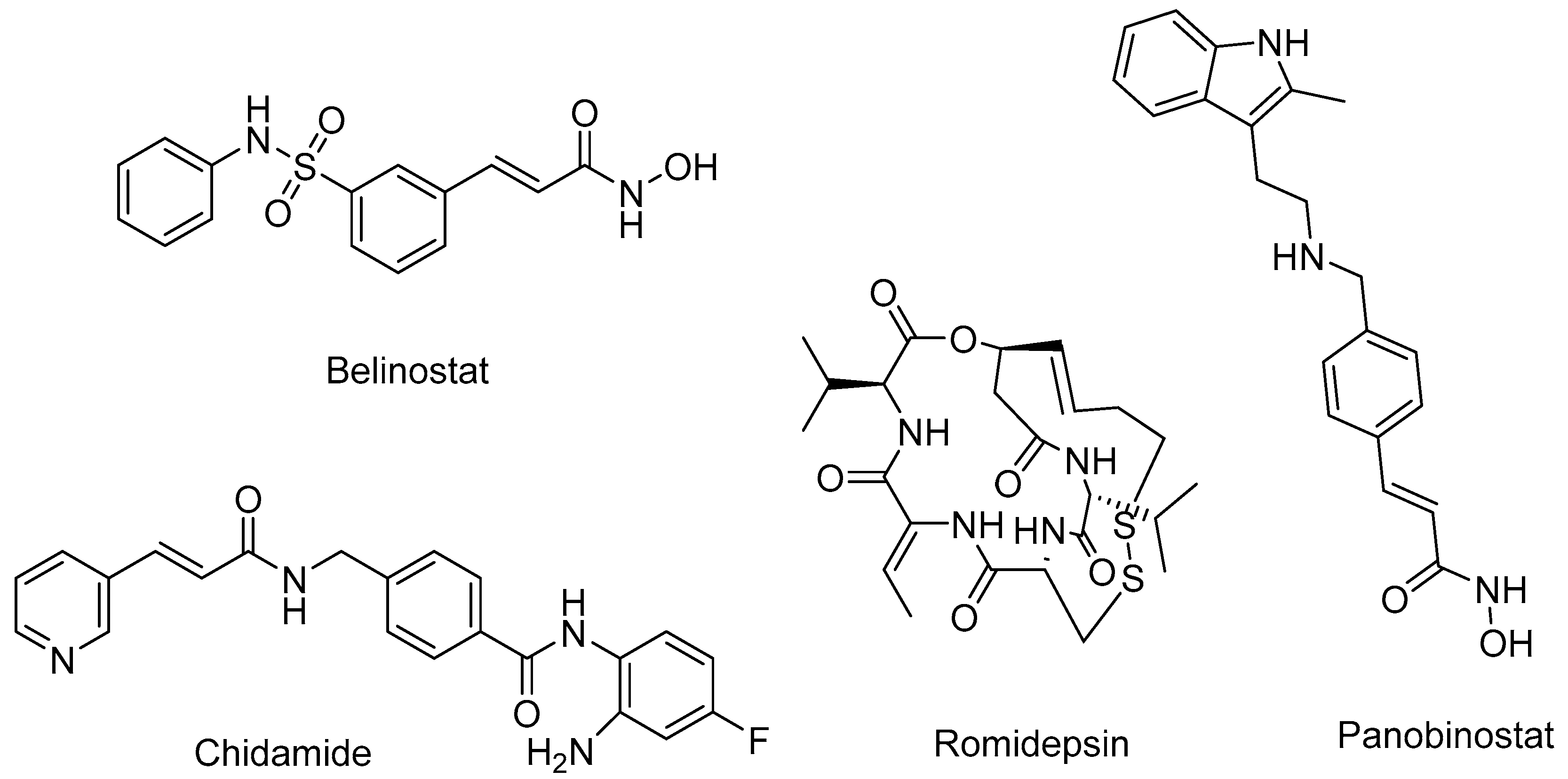 Pharmaceuticals 16 01639 g002