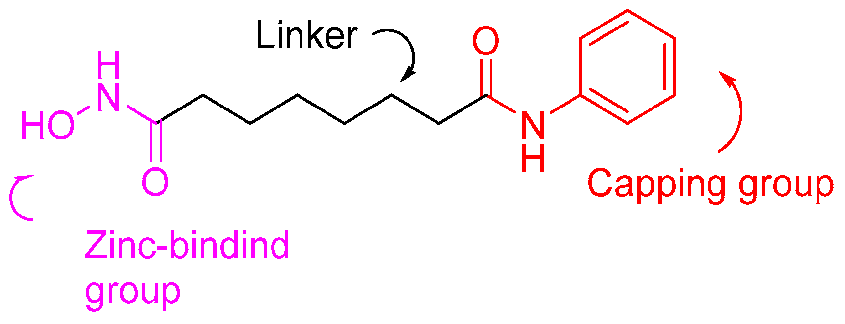 Pharmaceuticals 16 01639 g004