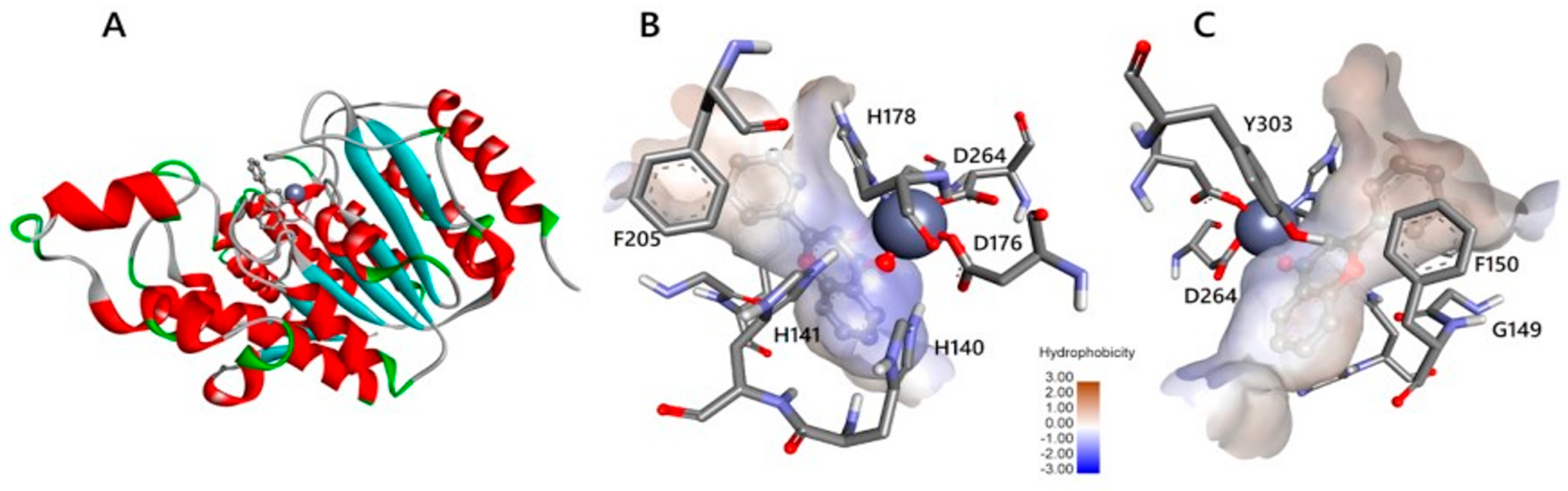 Pharmaceuticals 16 01639 g005