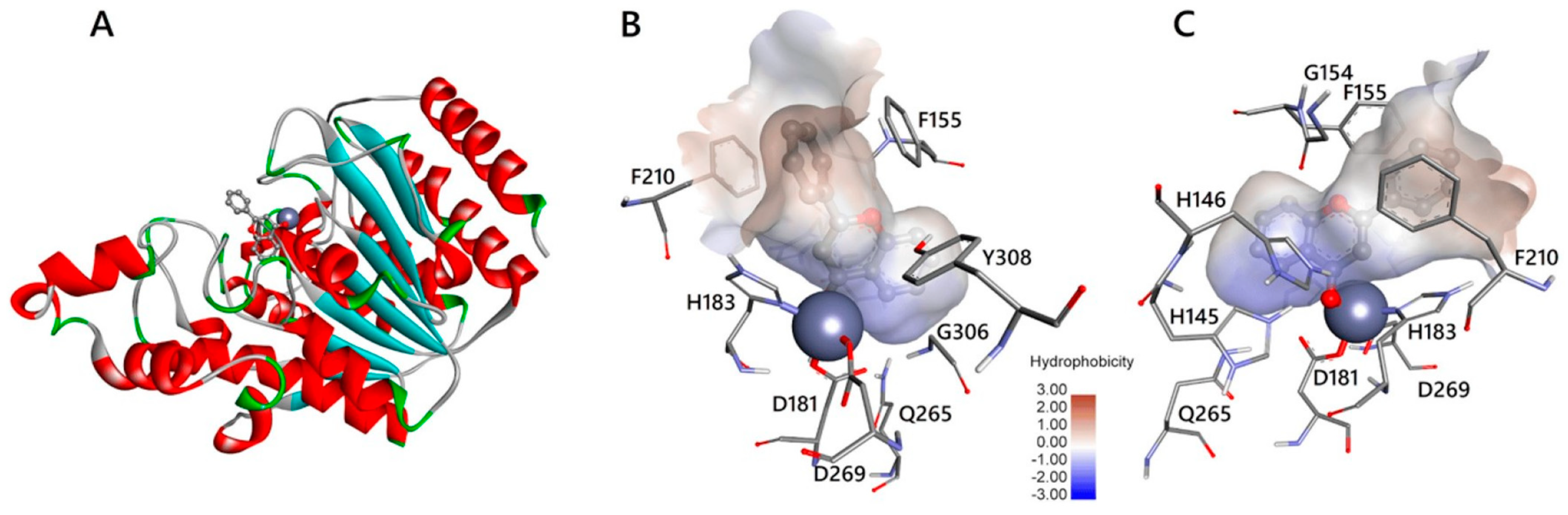 Pharmaceuticals 16 01639 g009