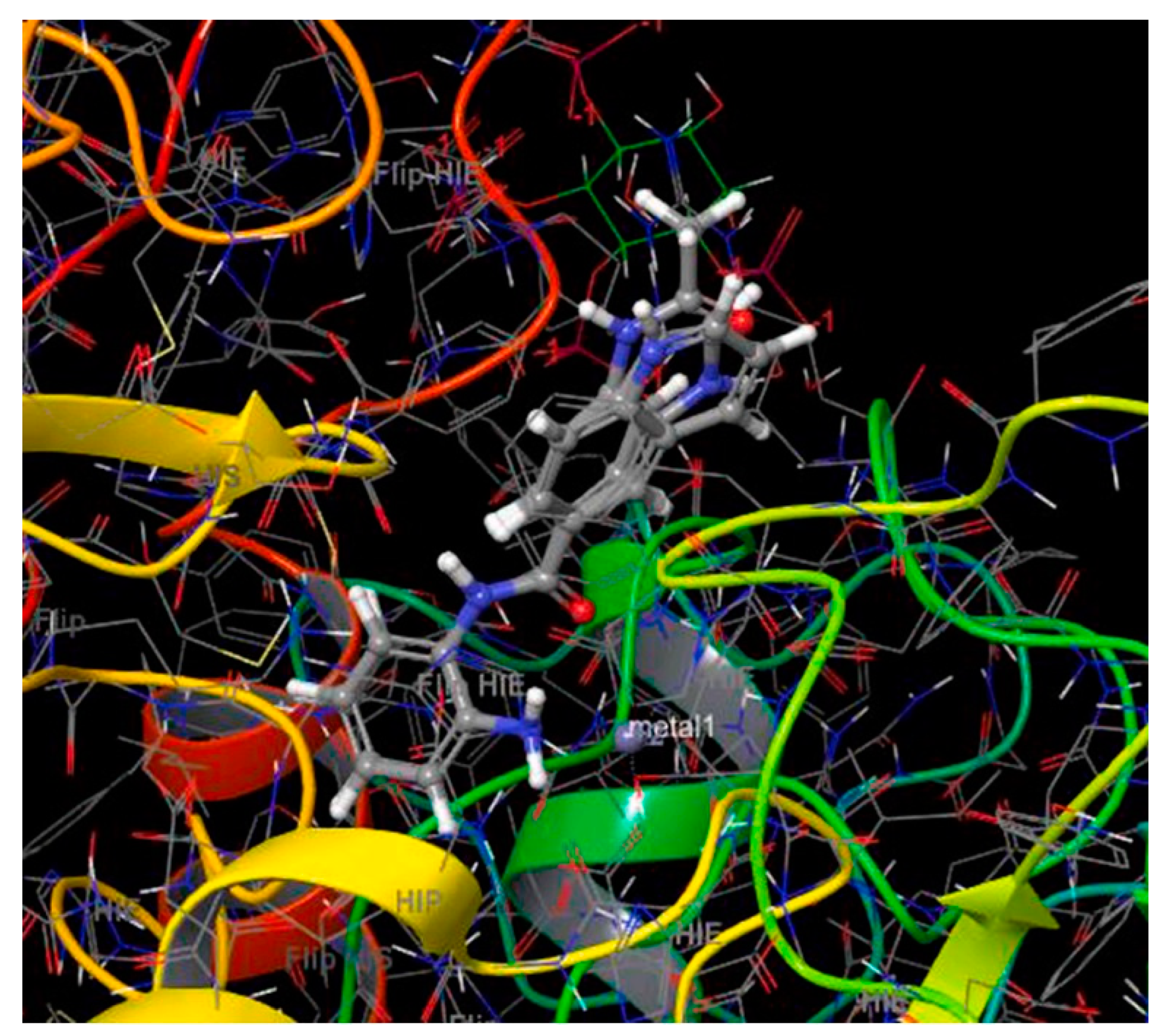 Pharmaceuticals 16 01639 g013