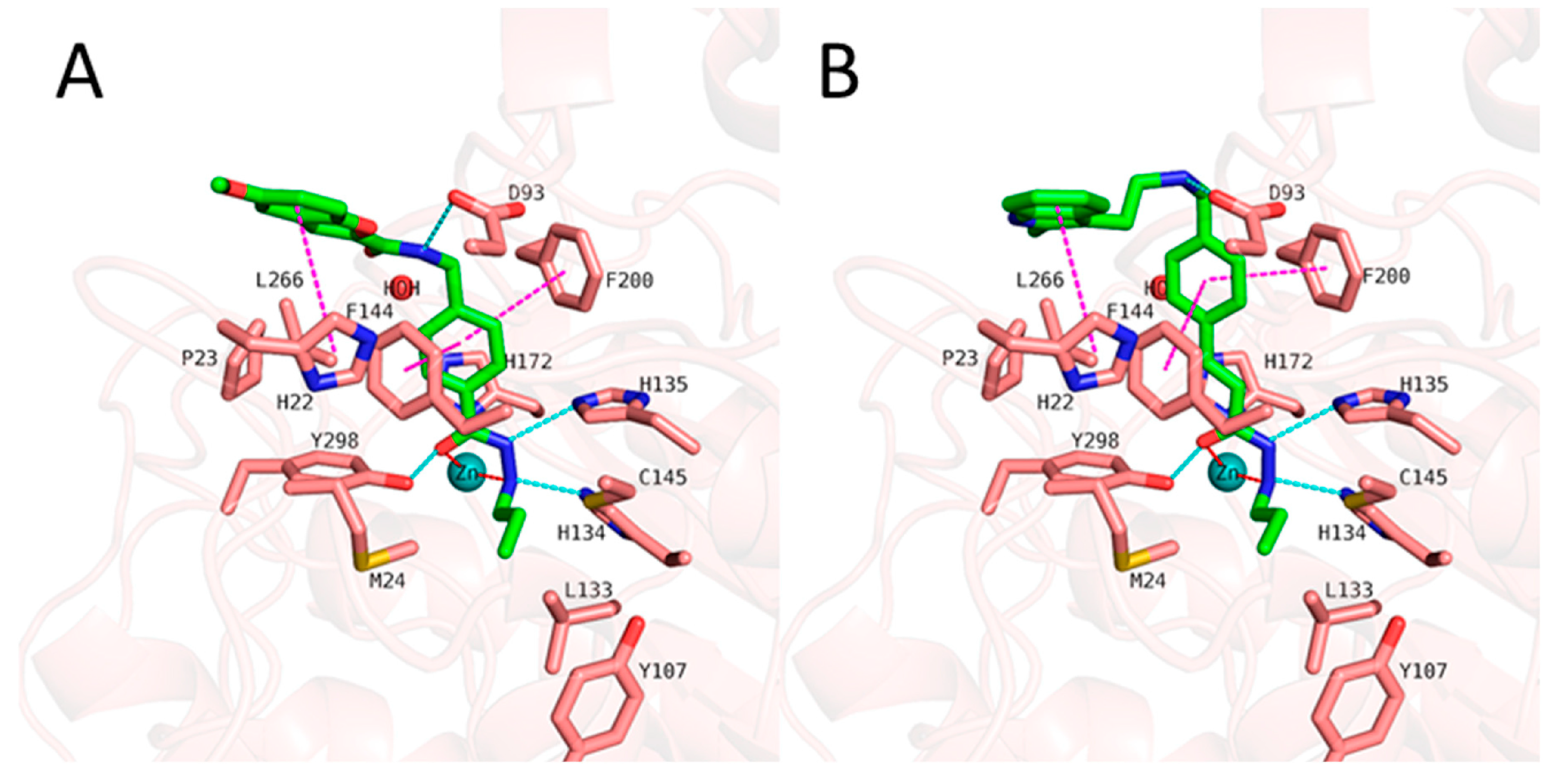 Pharmaceuticals 16 01639 g017