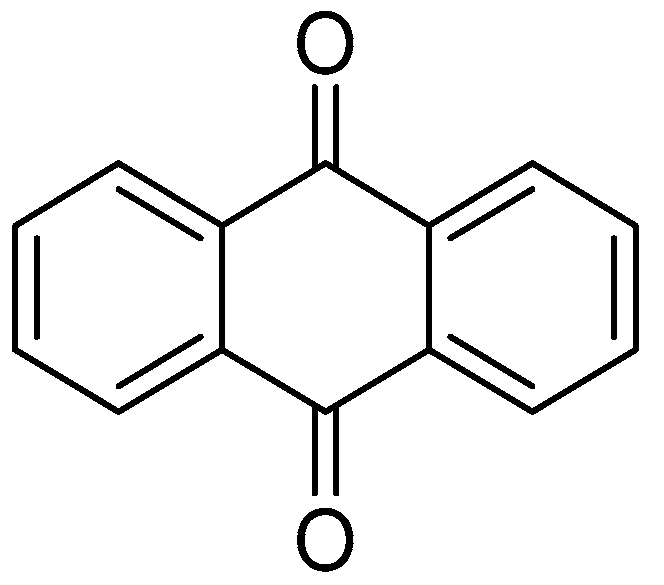 Pharmaceuticals 16 01639 g019