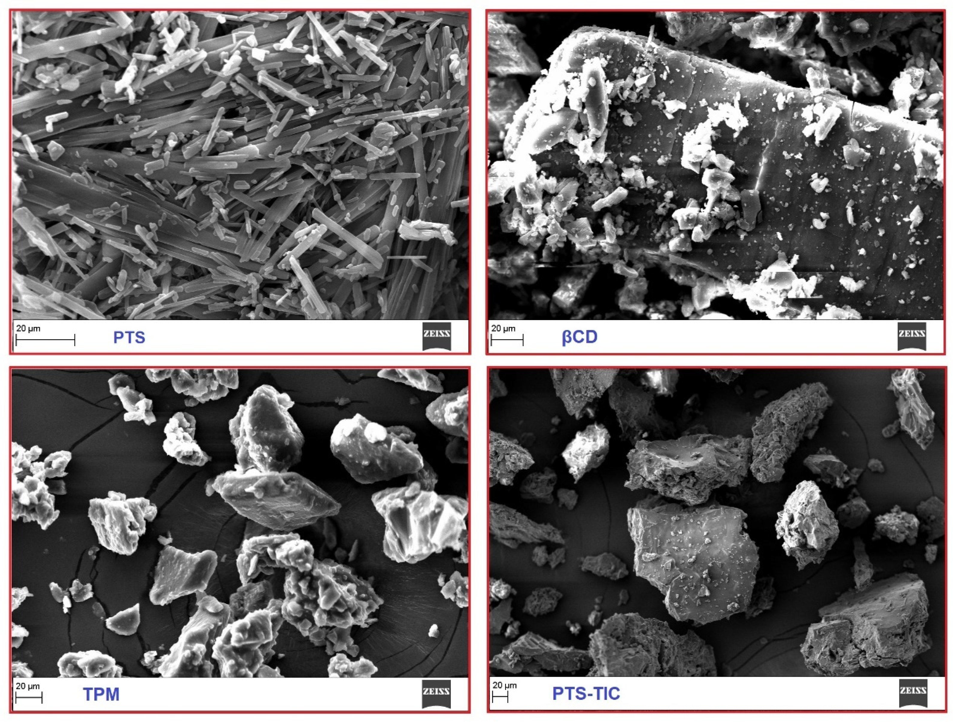 Pharmaceuticals 16 01641 g008