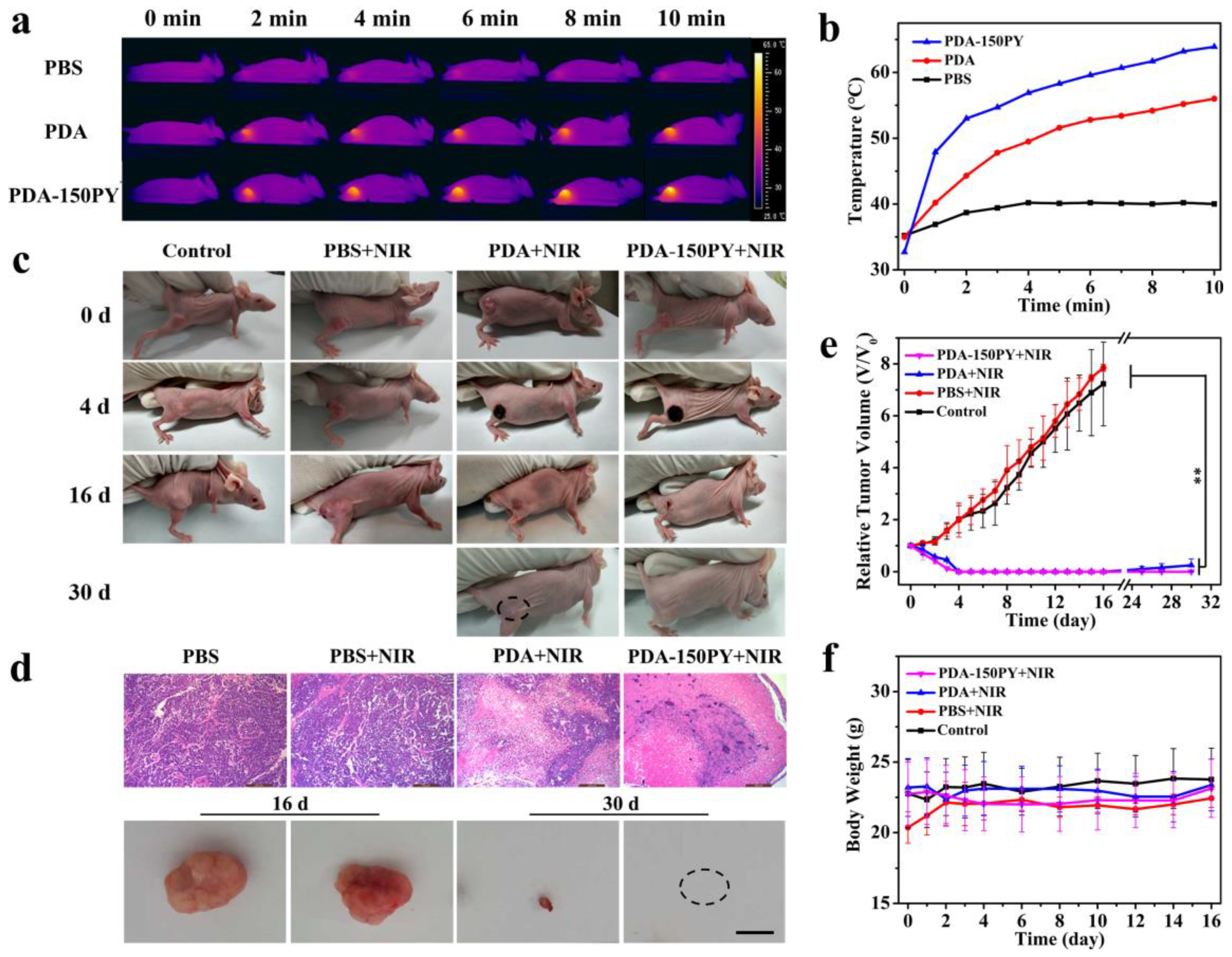 Pharmaceuticals 16 01642 g006