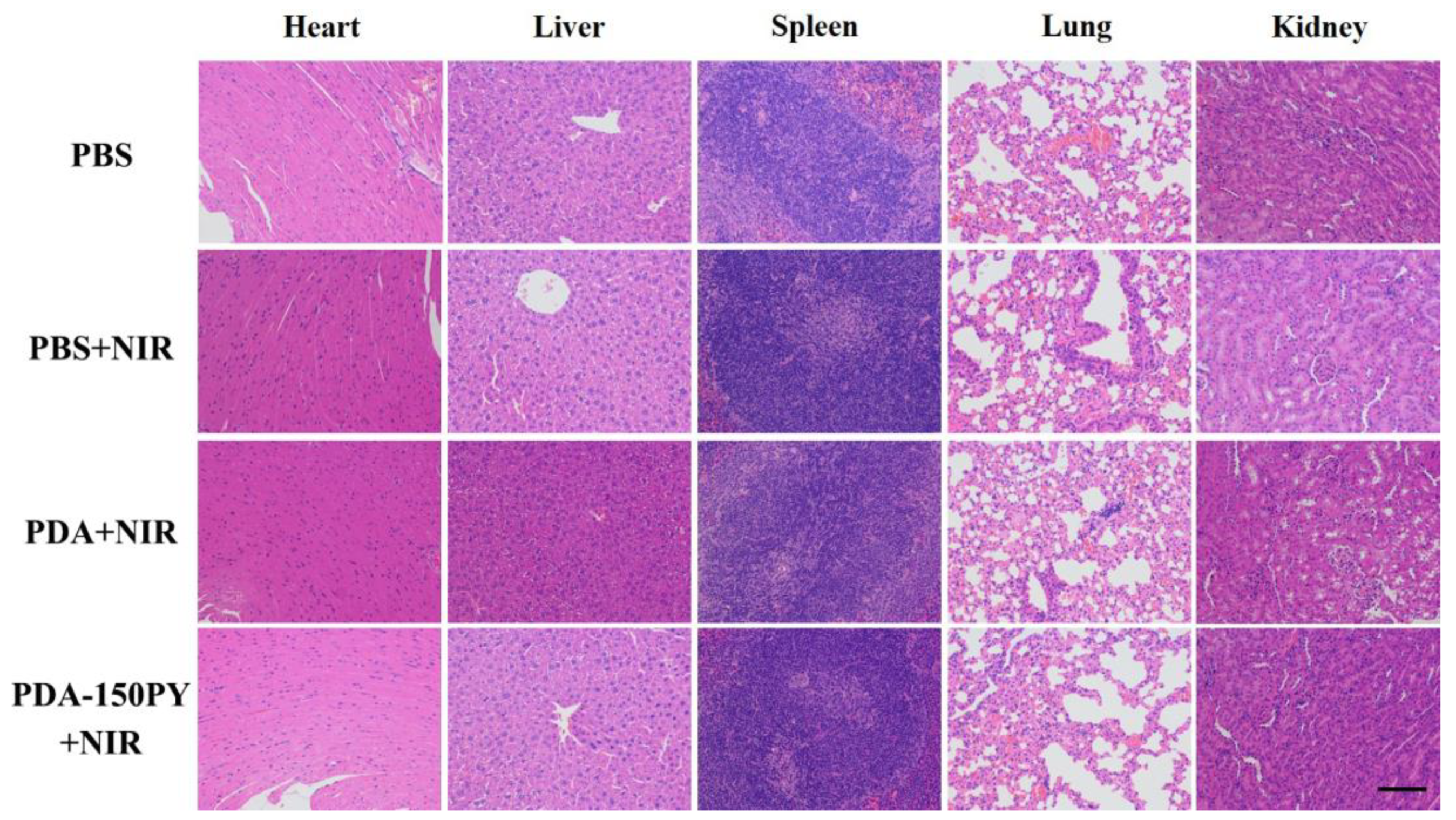 Pharmaceuticals 16 01642 g007