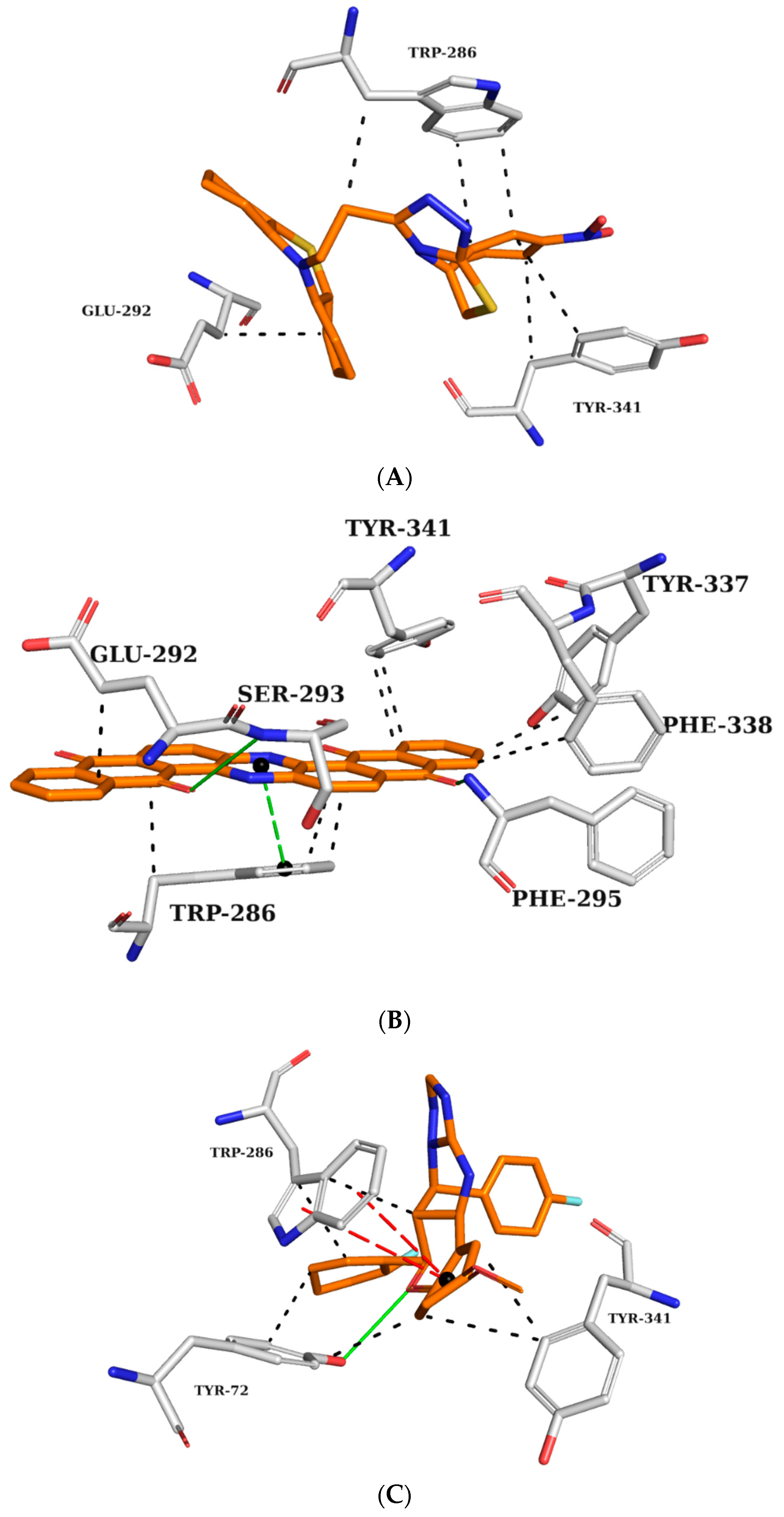 Pharmaceuticals 16 01645 g004
