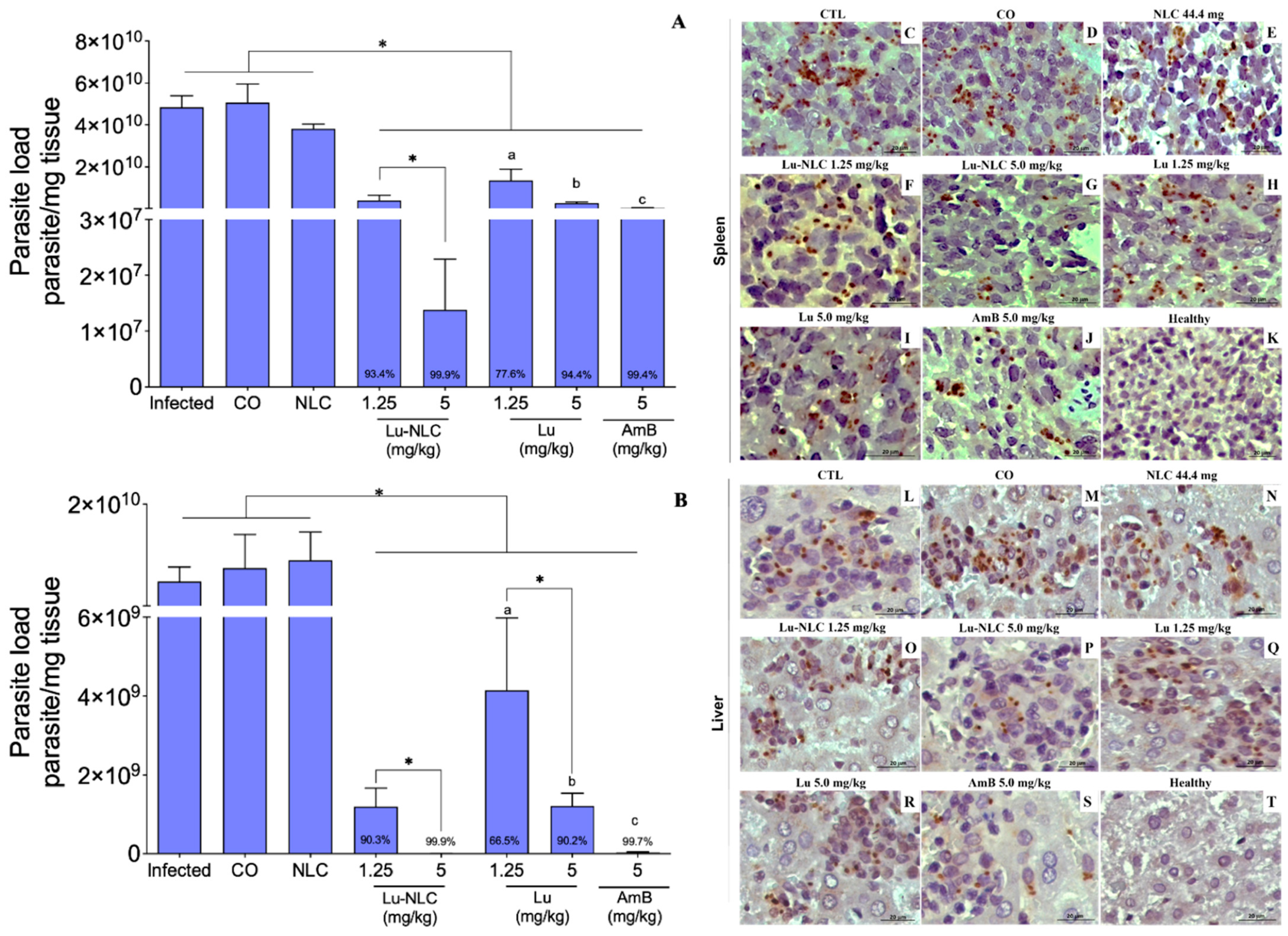 Pharmaceuticals 16 01646 g002