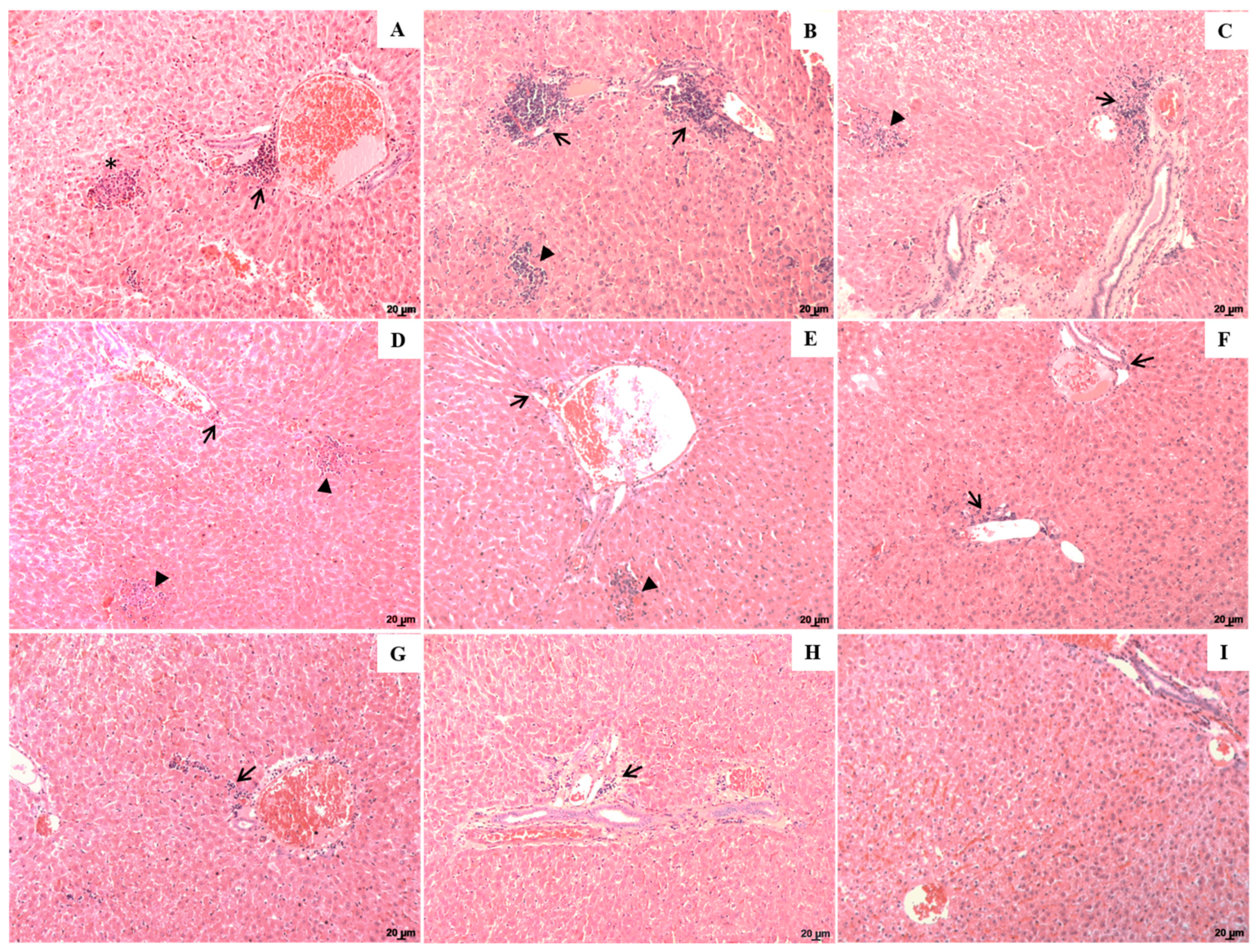Pharmaceuticals 16 01646 g004