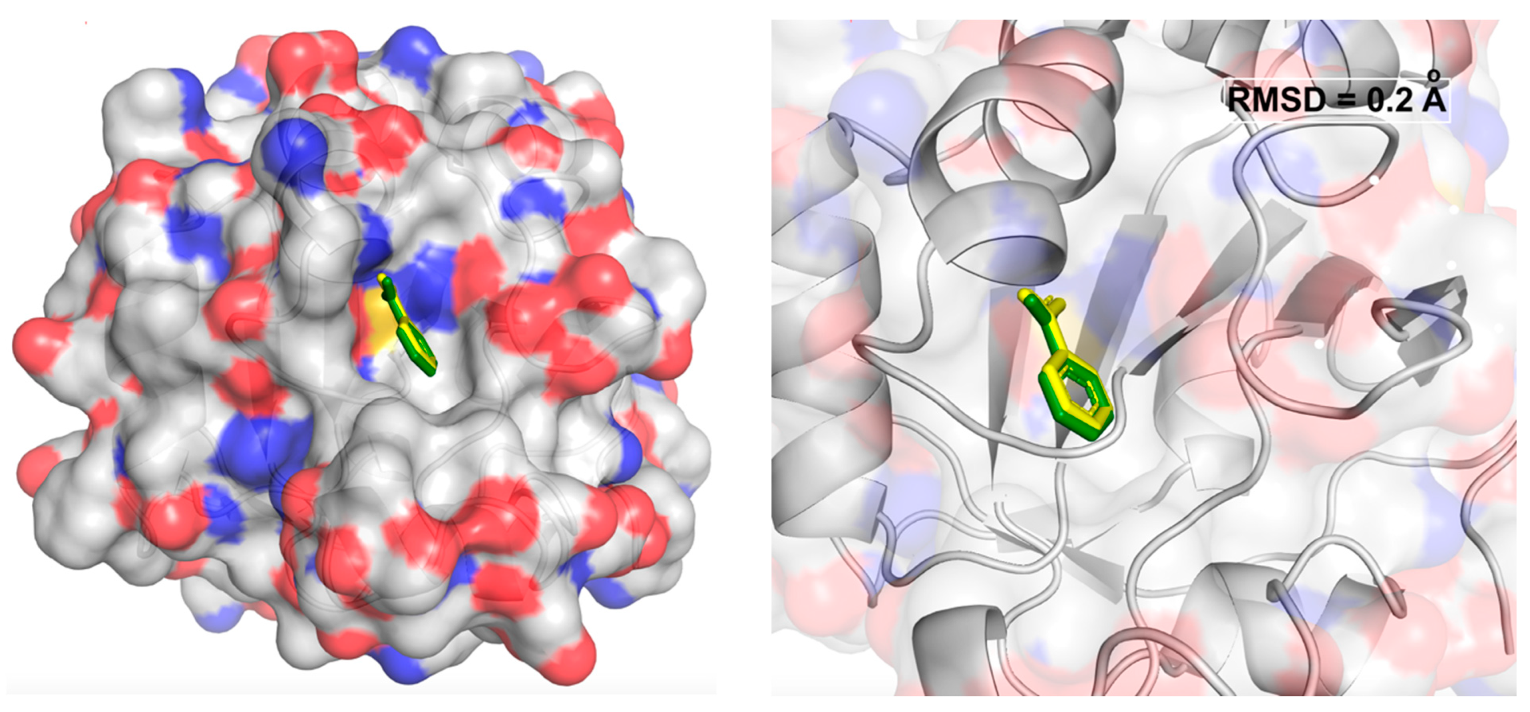 Pharmaceuticals 16 01648 g003