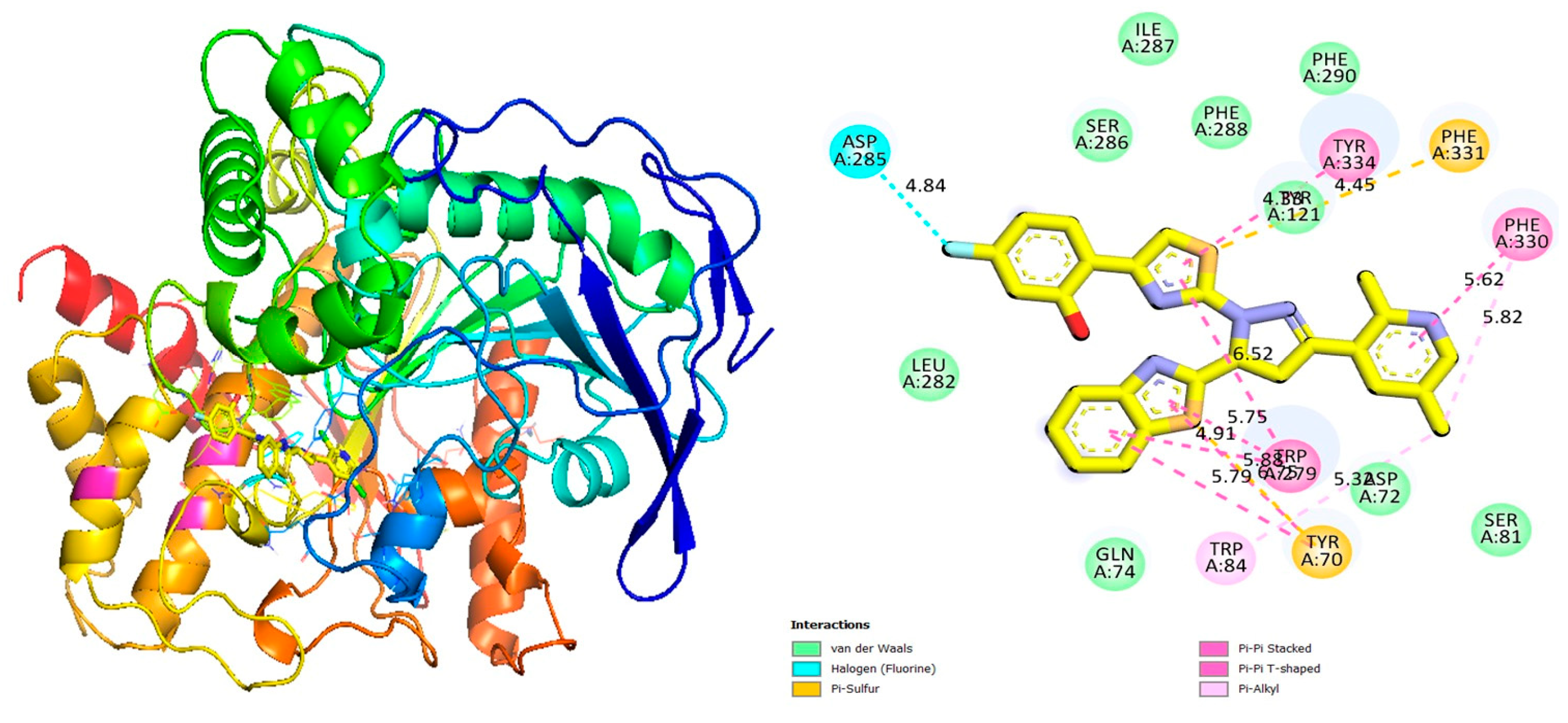 Pharmaceuticals 16 01650 g006