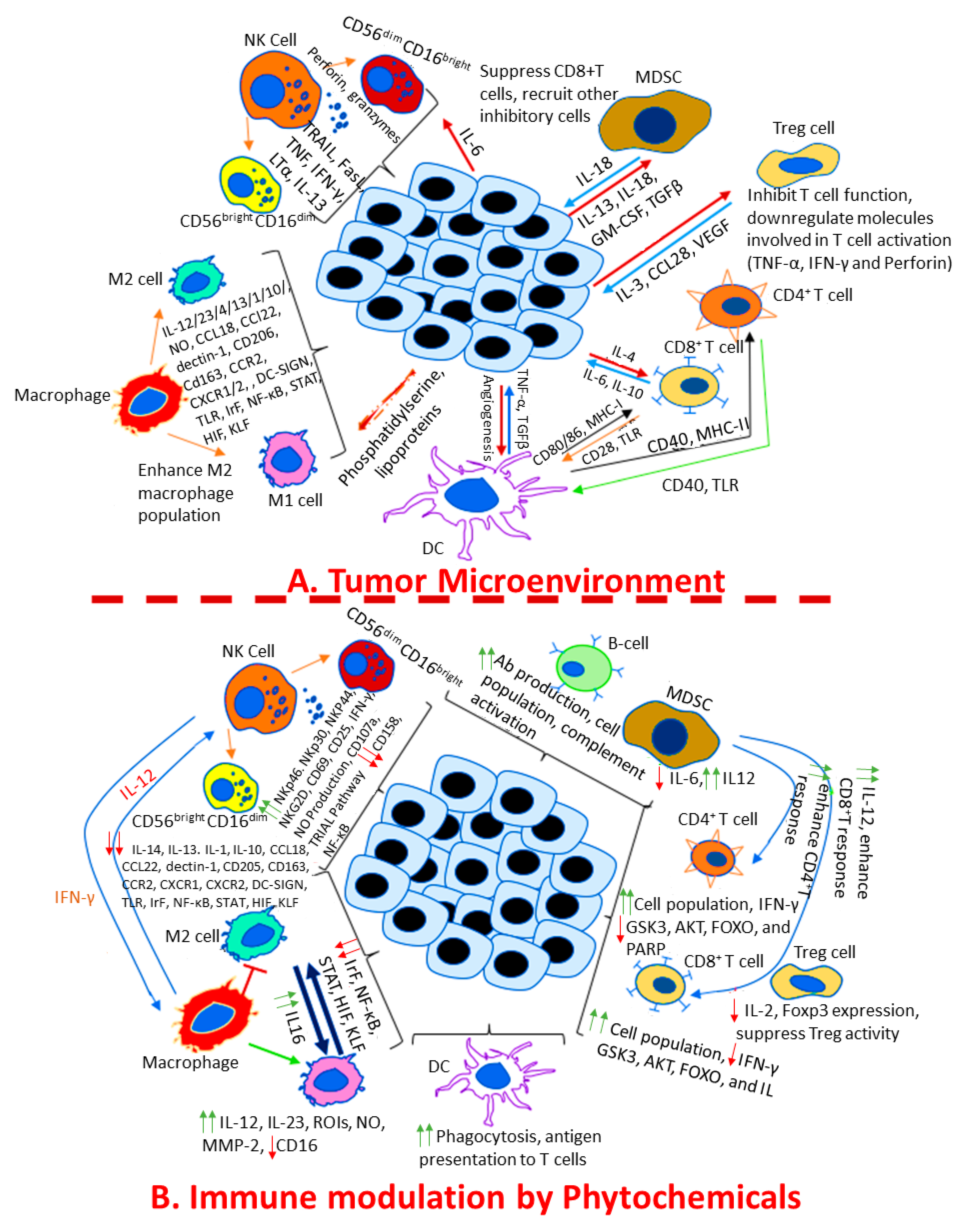 Pharmaceuticals 16 01652 g002 Pharmaceuticals 16 01652 g002