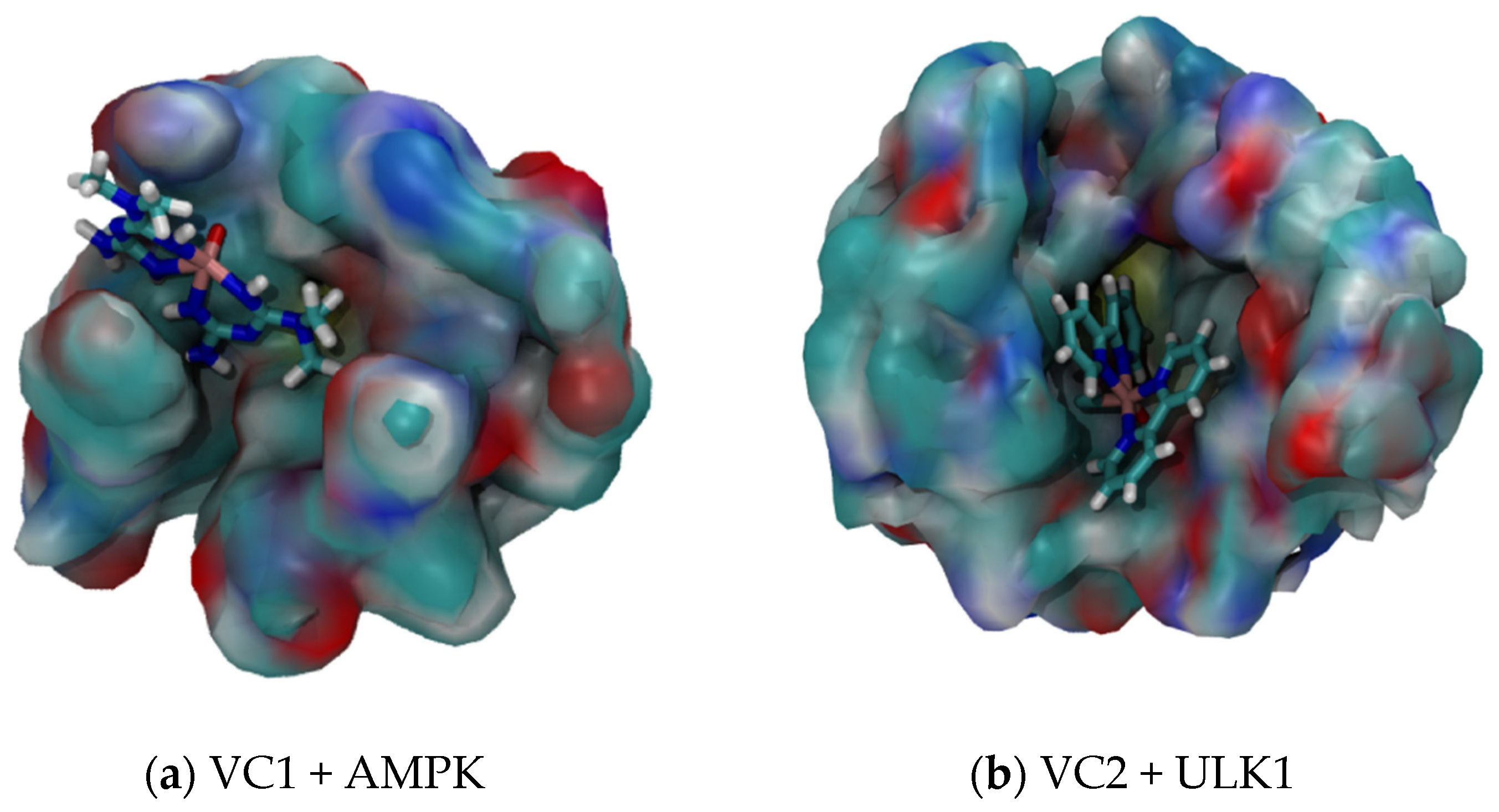 Pharmaceuticals 16 01653 g005