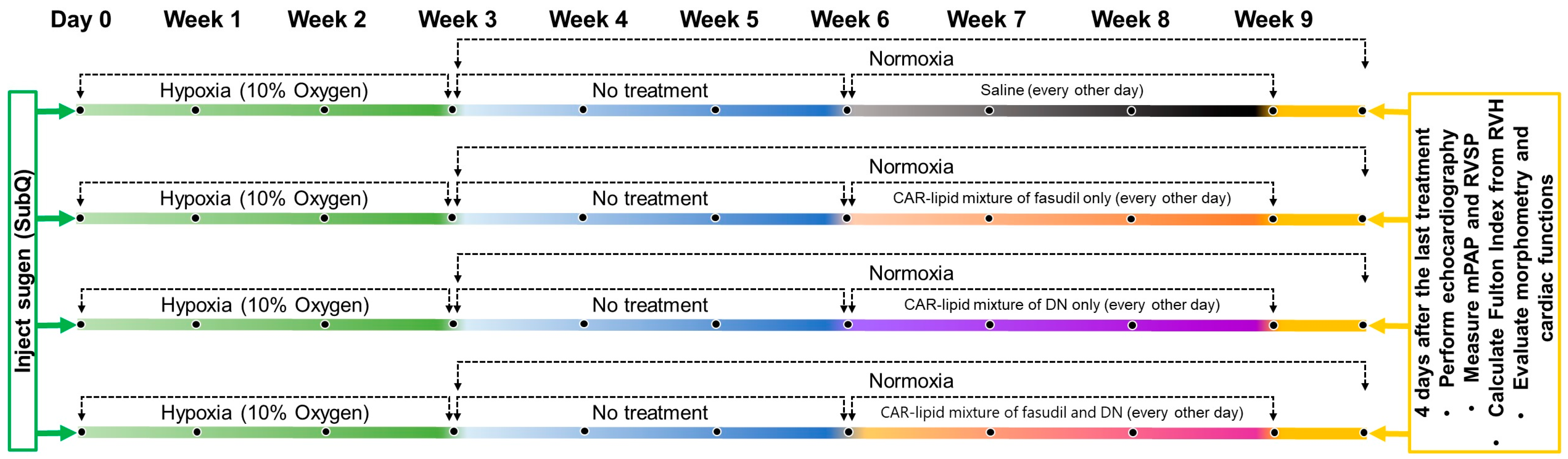 Pharmaceuticals 16 01656 g001