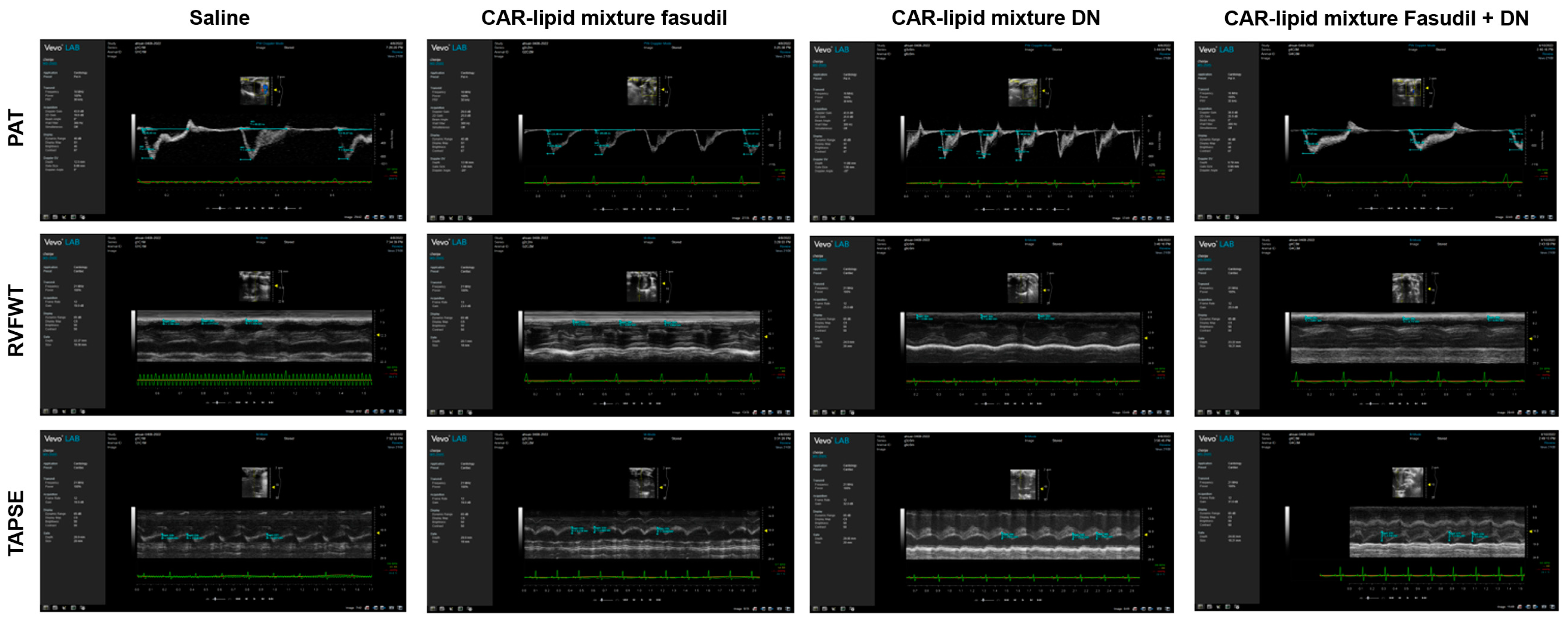 Pharmaceuticals 16 01656 g005