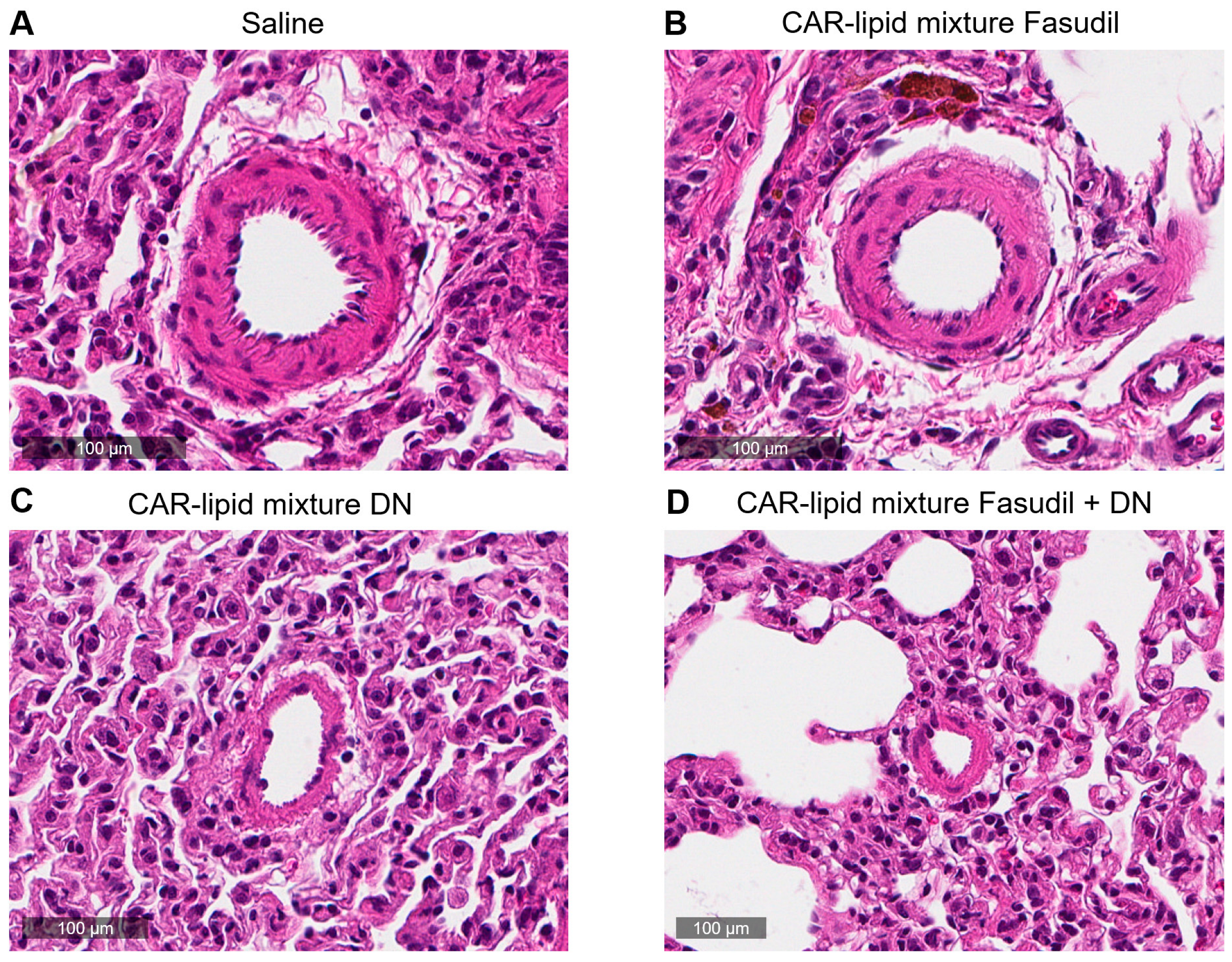Pharmaceuticals 16 01656 g006