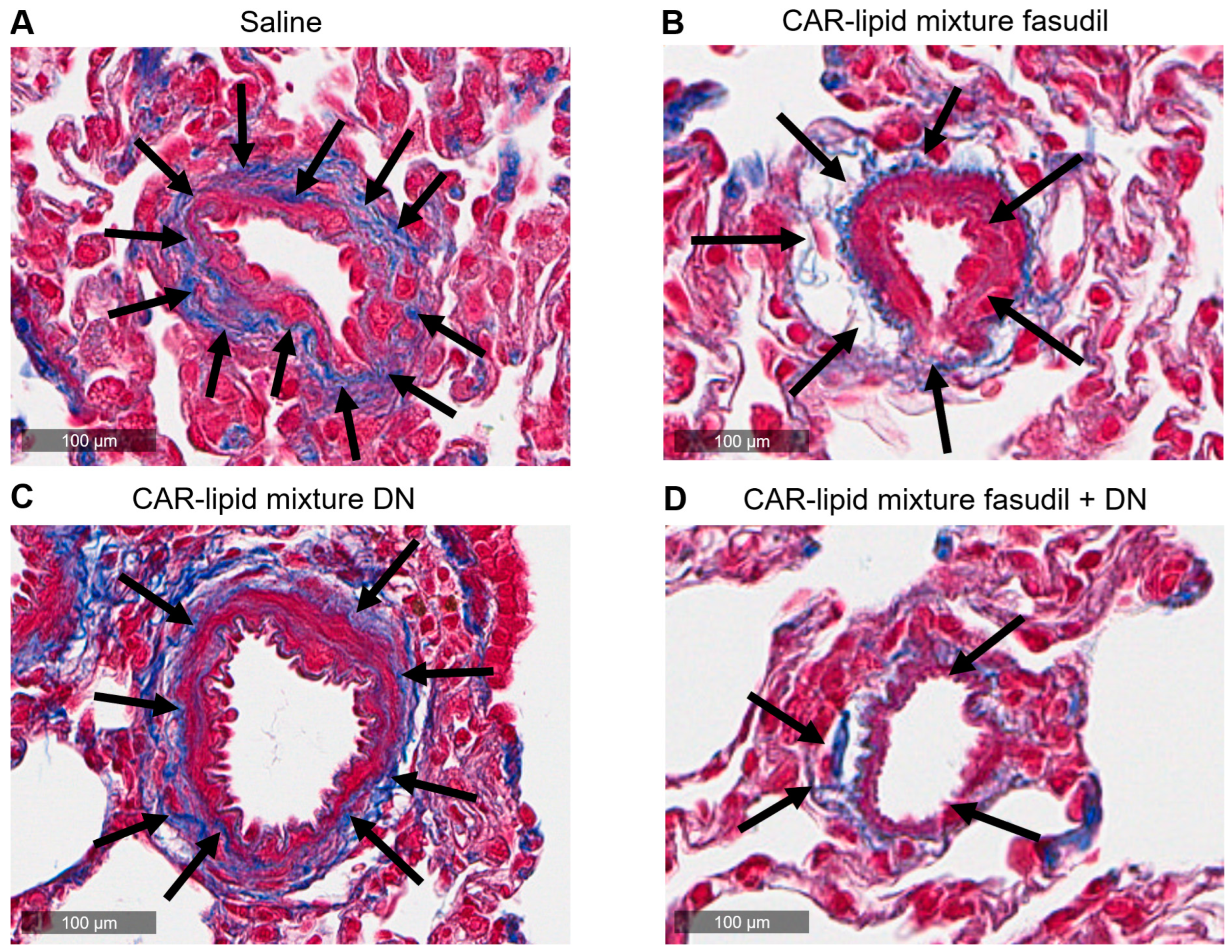 Pharmaceuticals 16 01656 g009
