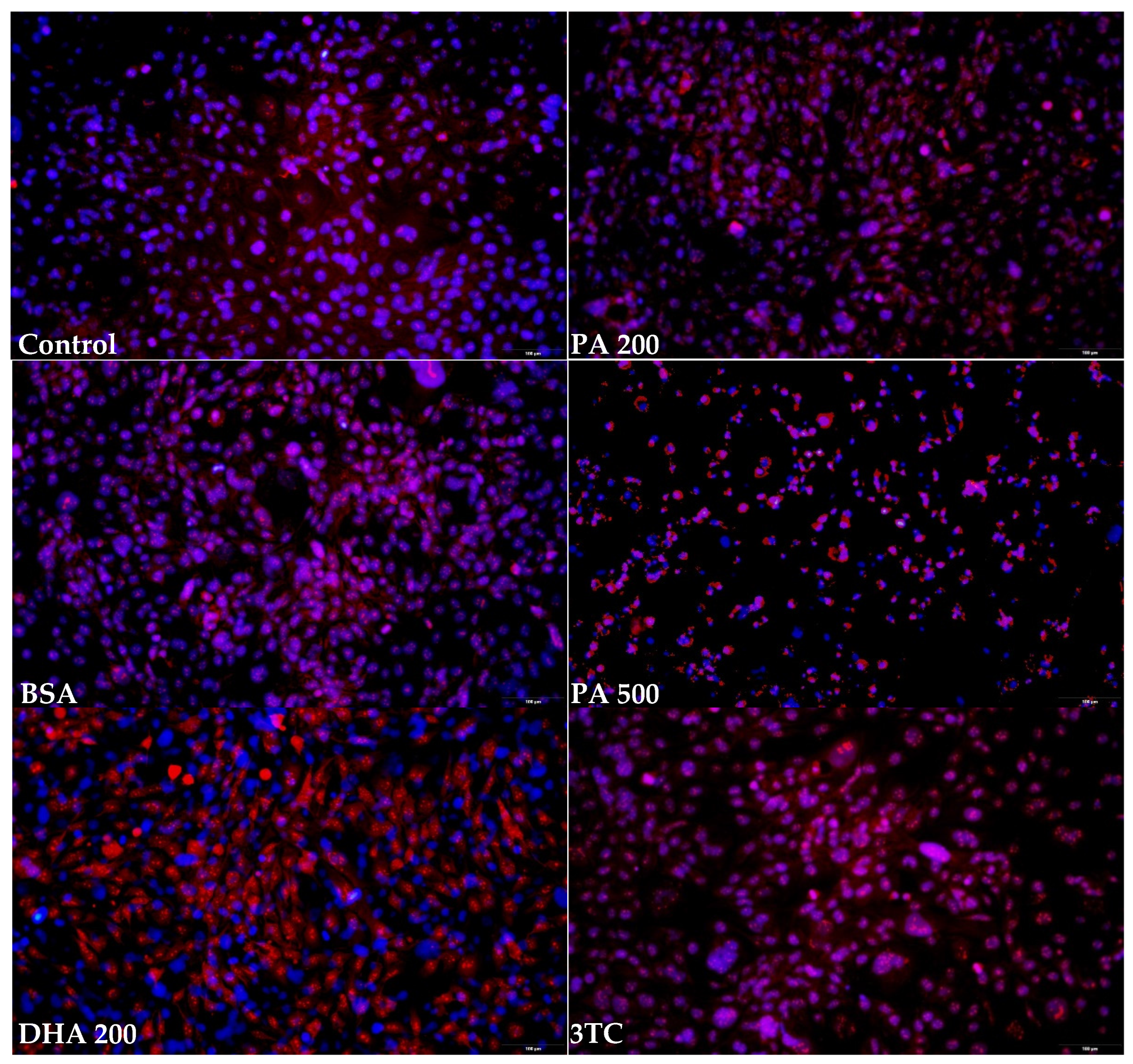 Pharmaceuticals 16 01661 g003a