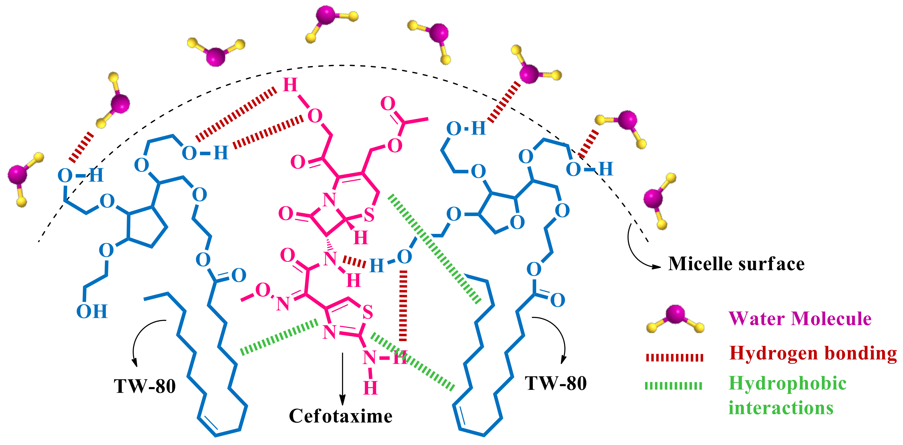 Pharmaceuticals 16 01663 sch004