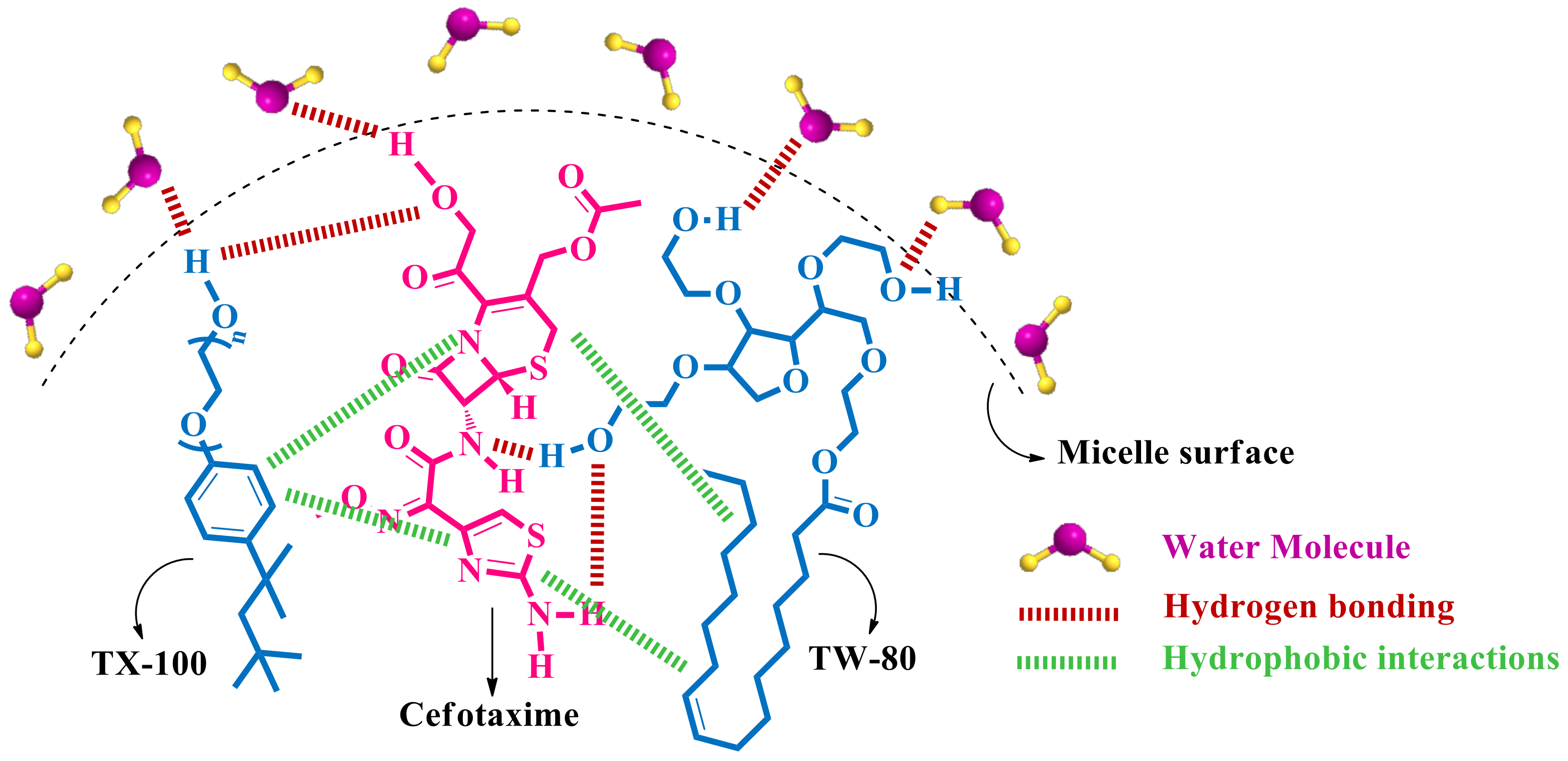 Pharmaceuticals 16 01663 sch006