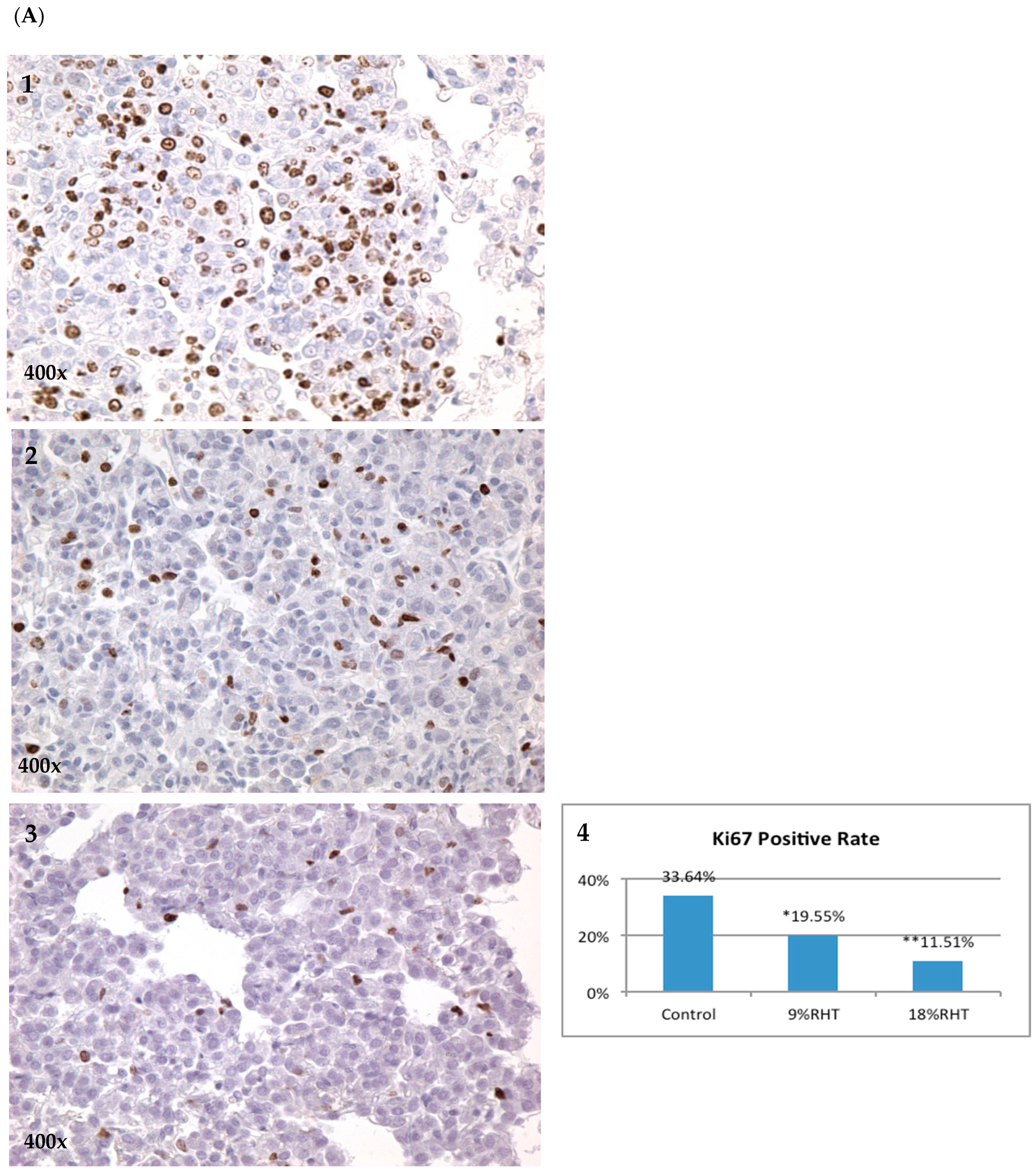 Pharmaceuticals 16 01666 g004a