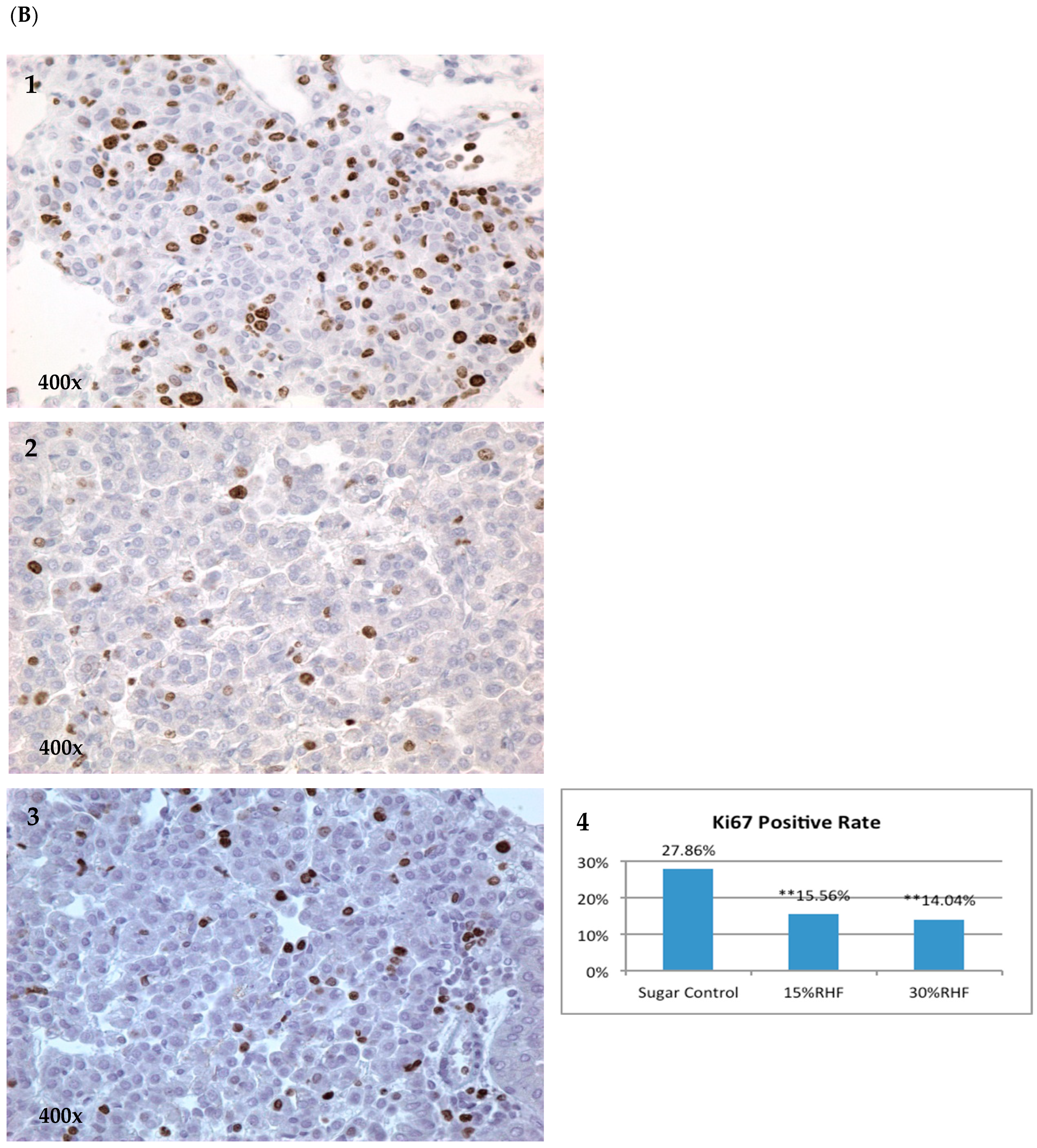 Pharmaceuticals 16 01666 g004b