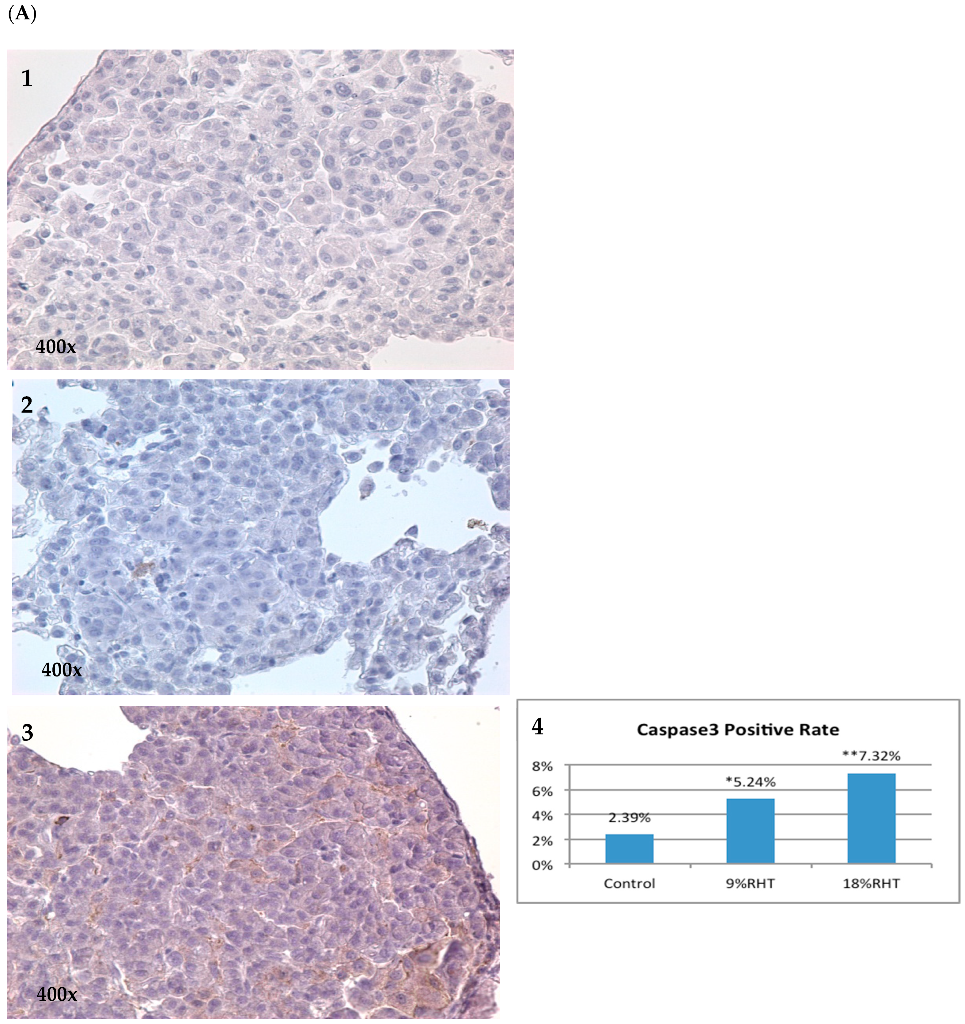 Pharmaceuticals 16 01666 g005a