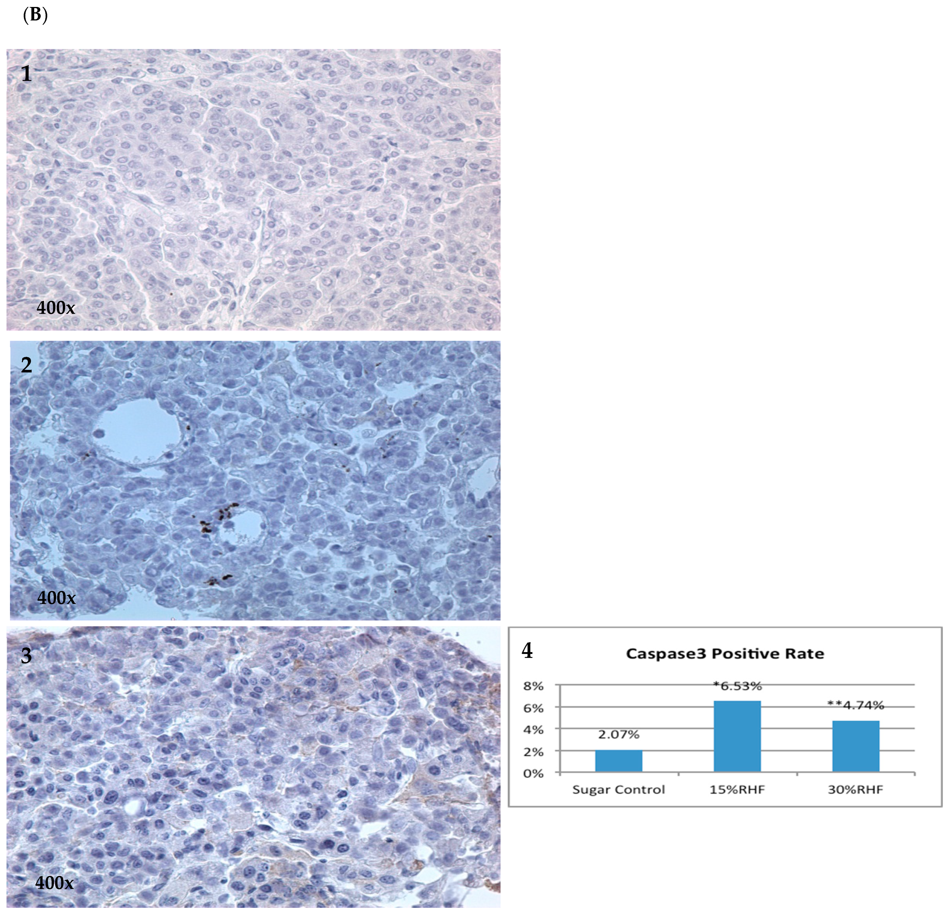 Pharmaceuticals 16 01666 g005b