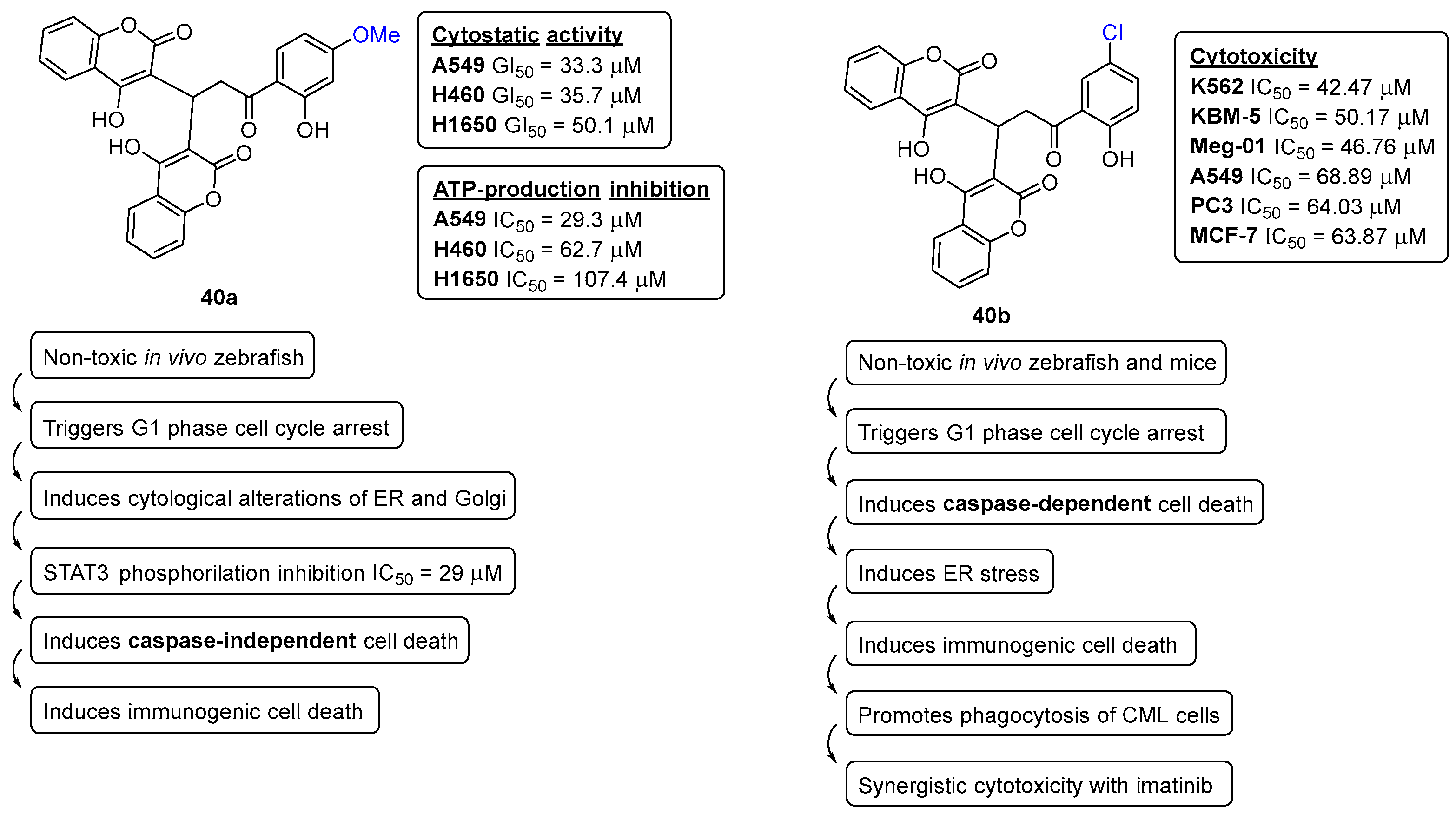 Pharmaceuticals 16 01668 g016